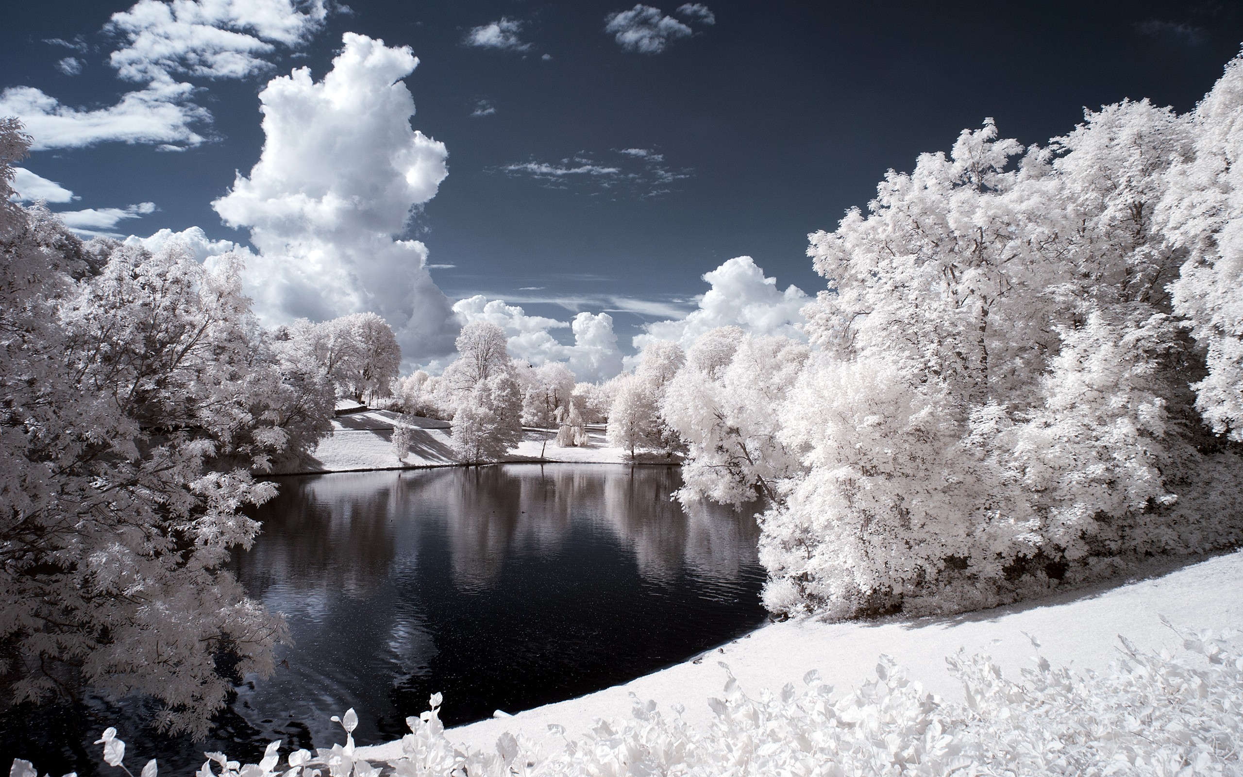 General 2560x1600 nature winter snow trees water pond cold ice landscape