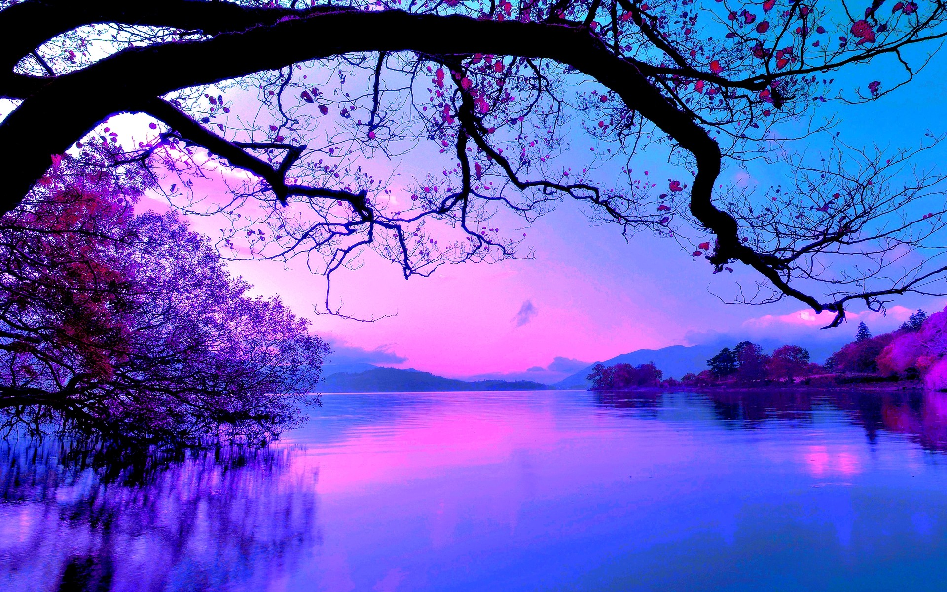 General 1920x1200 nature purple pink water trees sky plants calm waters