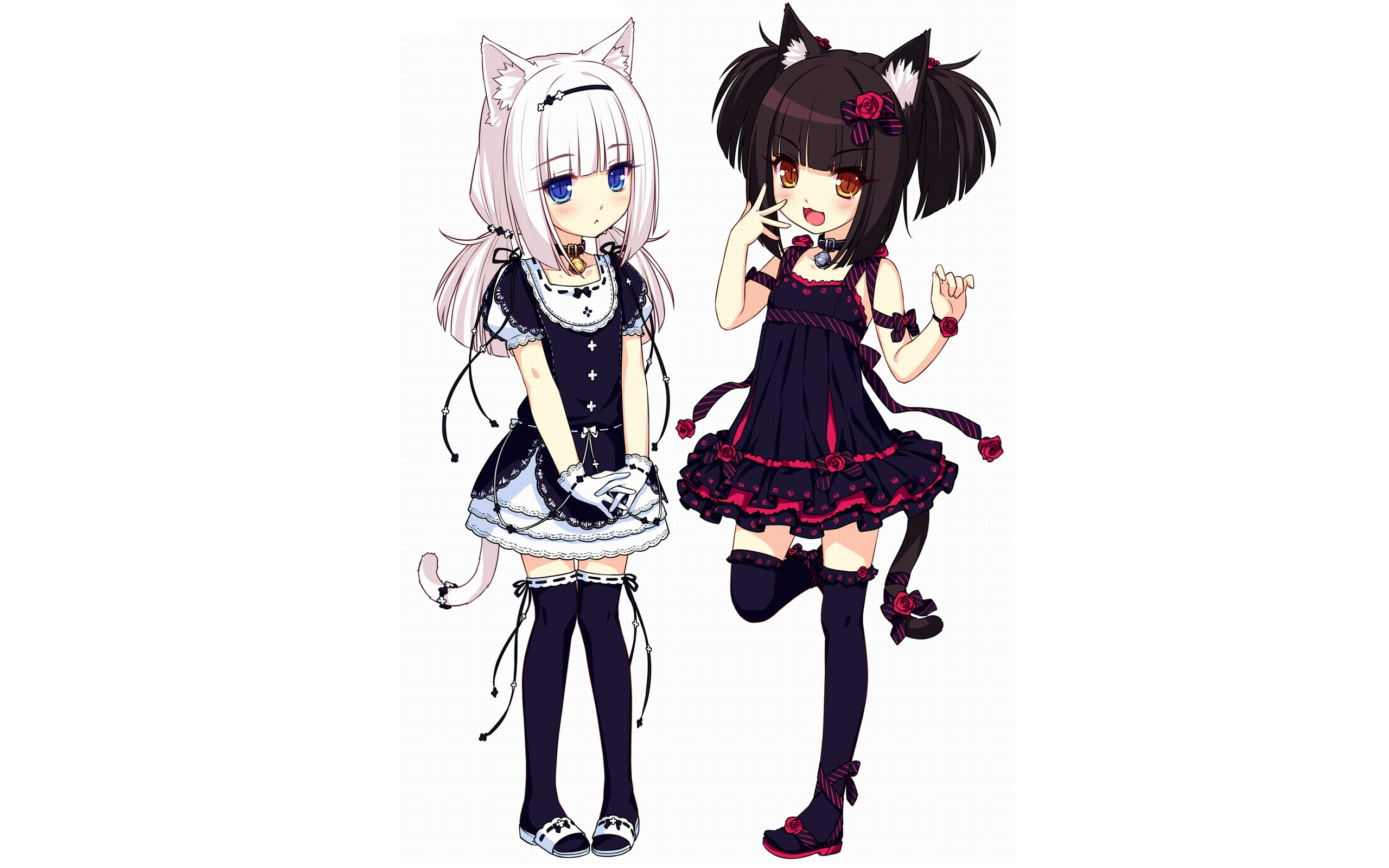 Anime 2560x1600 Nekopara cat girl anime girls animal ears loli anime simple background white background standing tail