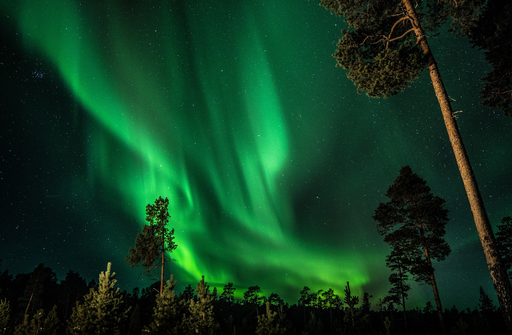 General 2048x1339 trees aurorae landscape green night sky looking up low light