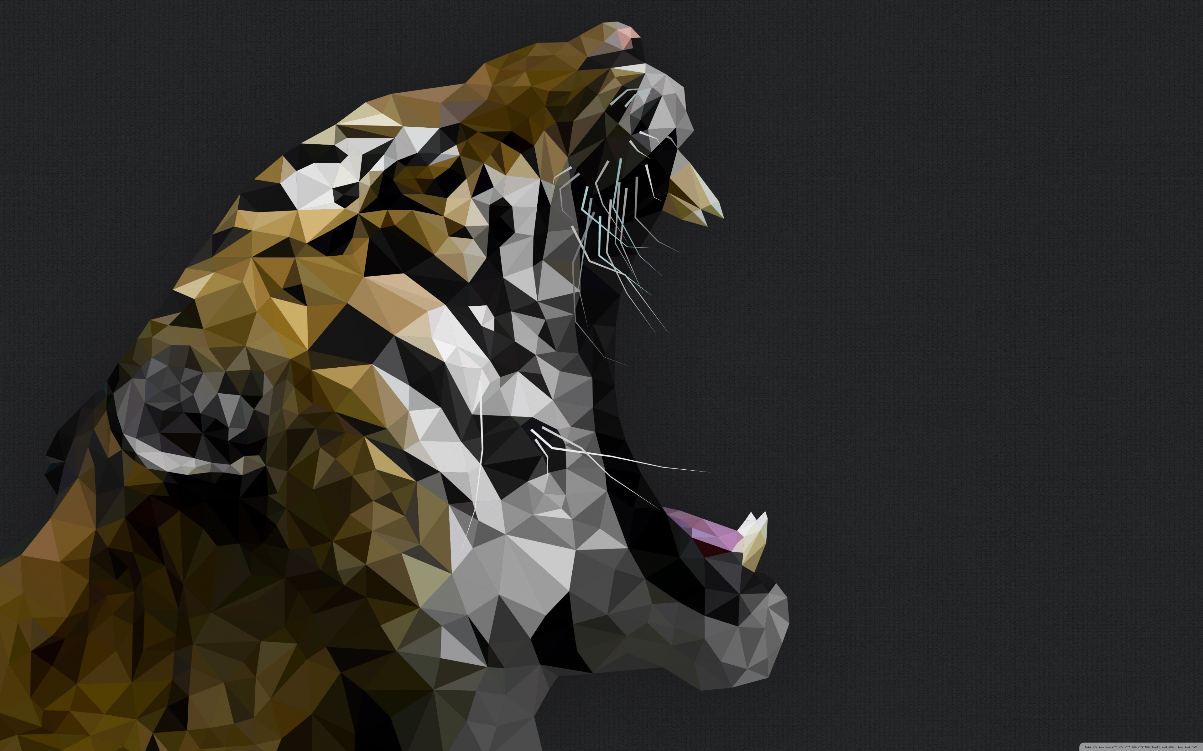 General 3840x2400 tiger animals low poly simple background big cats artwork digital art mammals black background fangs