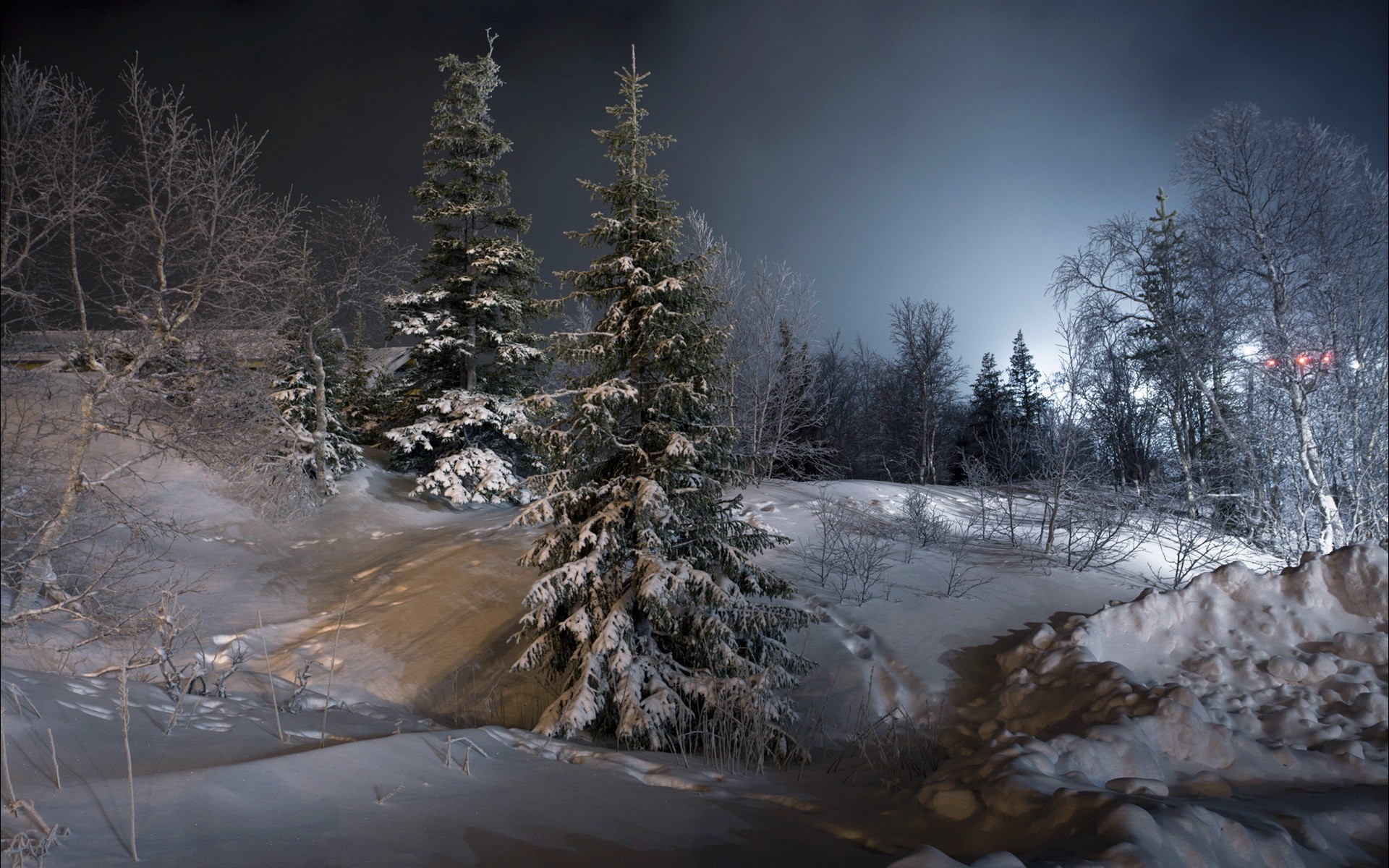 General 1920x1200 night landscape trees snow ice winter nature cold outdoors