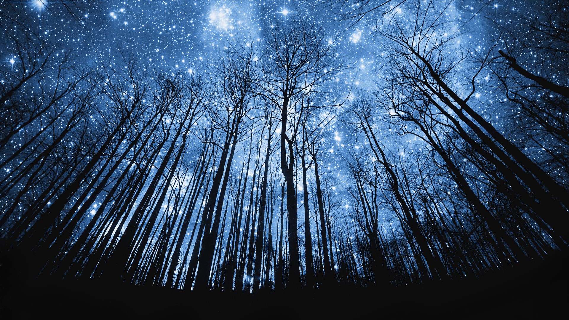 General 1920x1080 stars night space silhouette forest digital art space art cyan