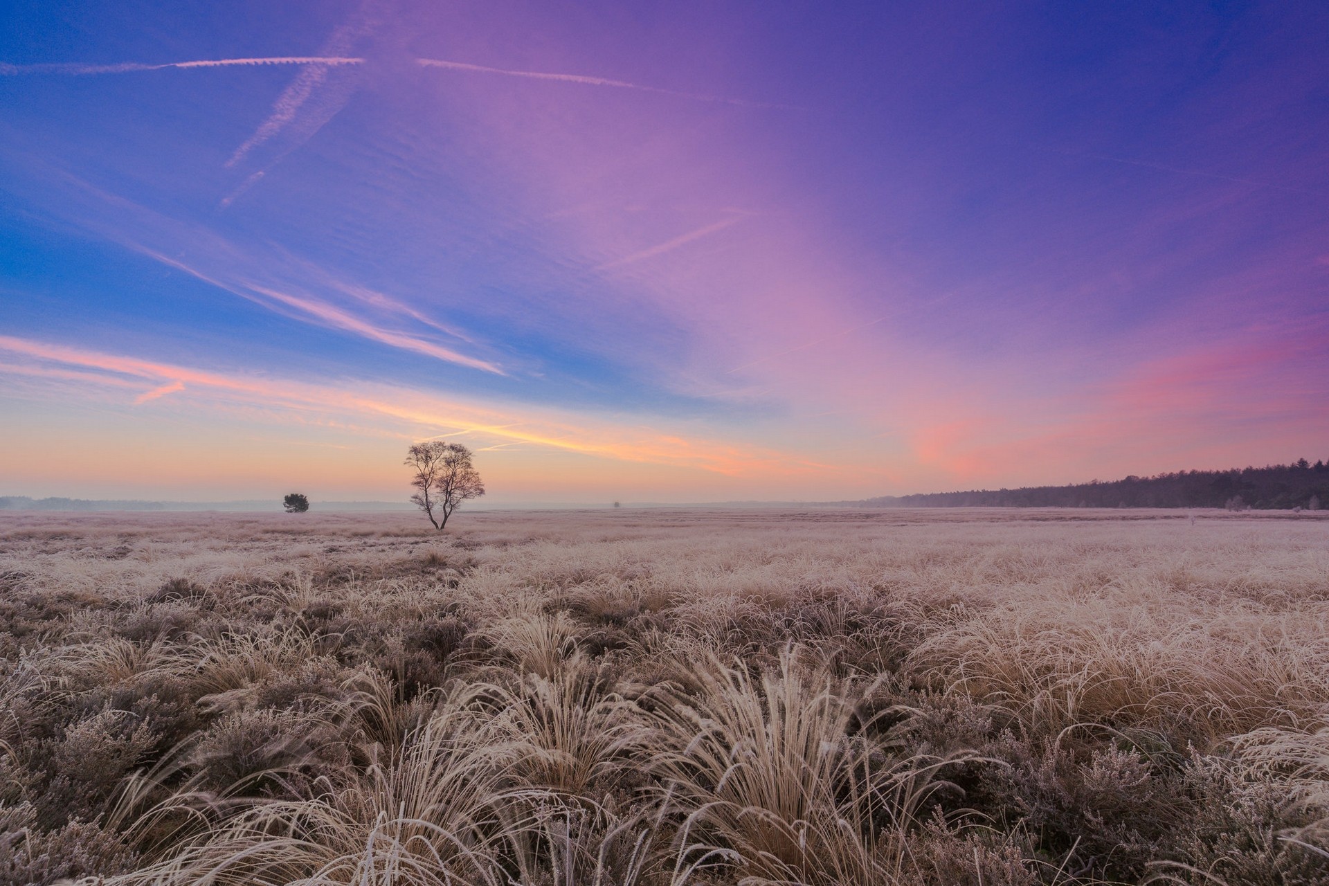 General 1920x1280 landscape plains field dry grass sunrise purple sky