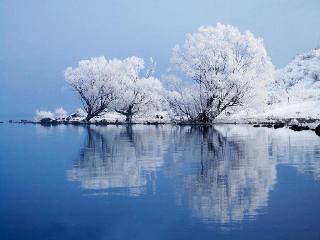 General 1024x768 trees winter snow lake reflection