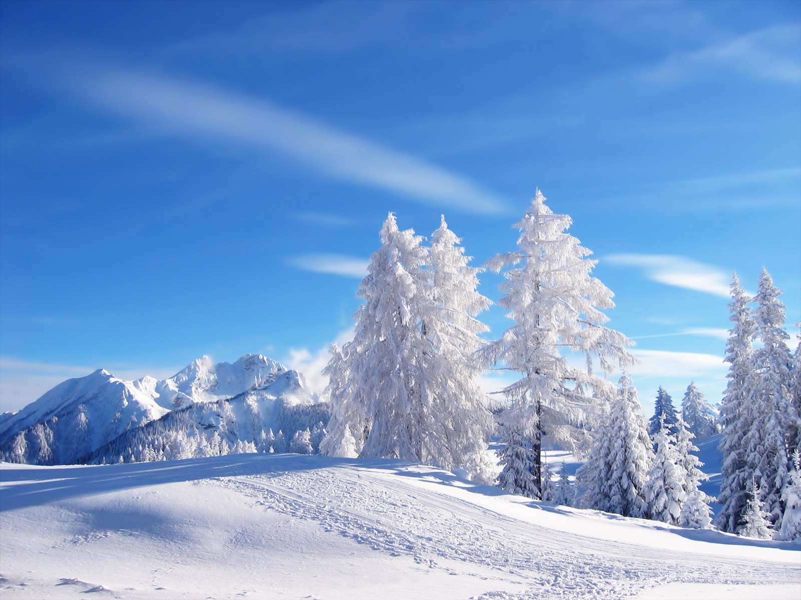 General 1600x1200 landscape trees nature sky mountains sunlight blue clear sky outdoors winter snow