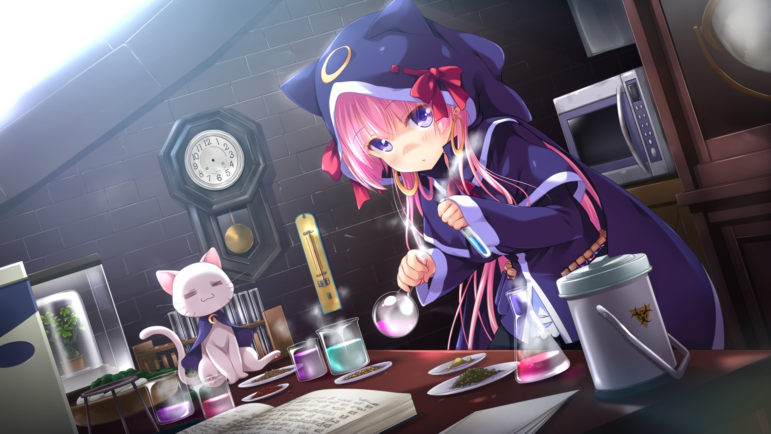 Anime 2560x1440 anime girls cat girl hoods cats animals microwave pink hair books looking at viewer Biohazard (Sign) chemistry