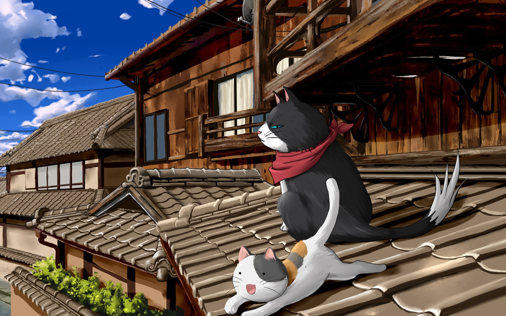 Anime 1680x1050 anime cats rooftops house animals