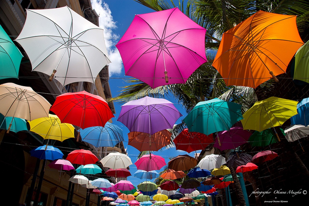 General 1280x853 colorful umbrella city urban palm trees