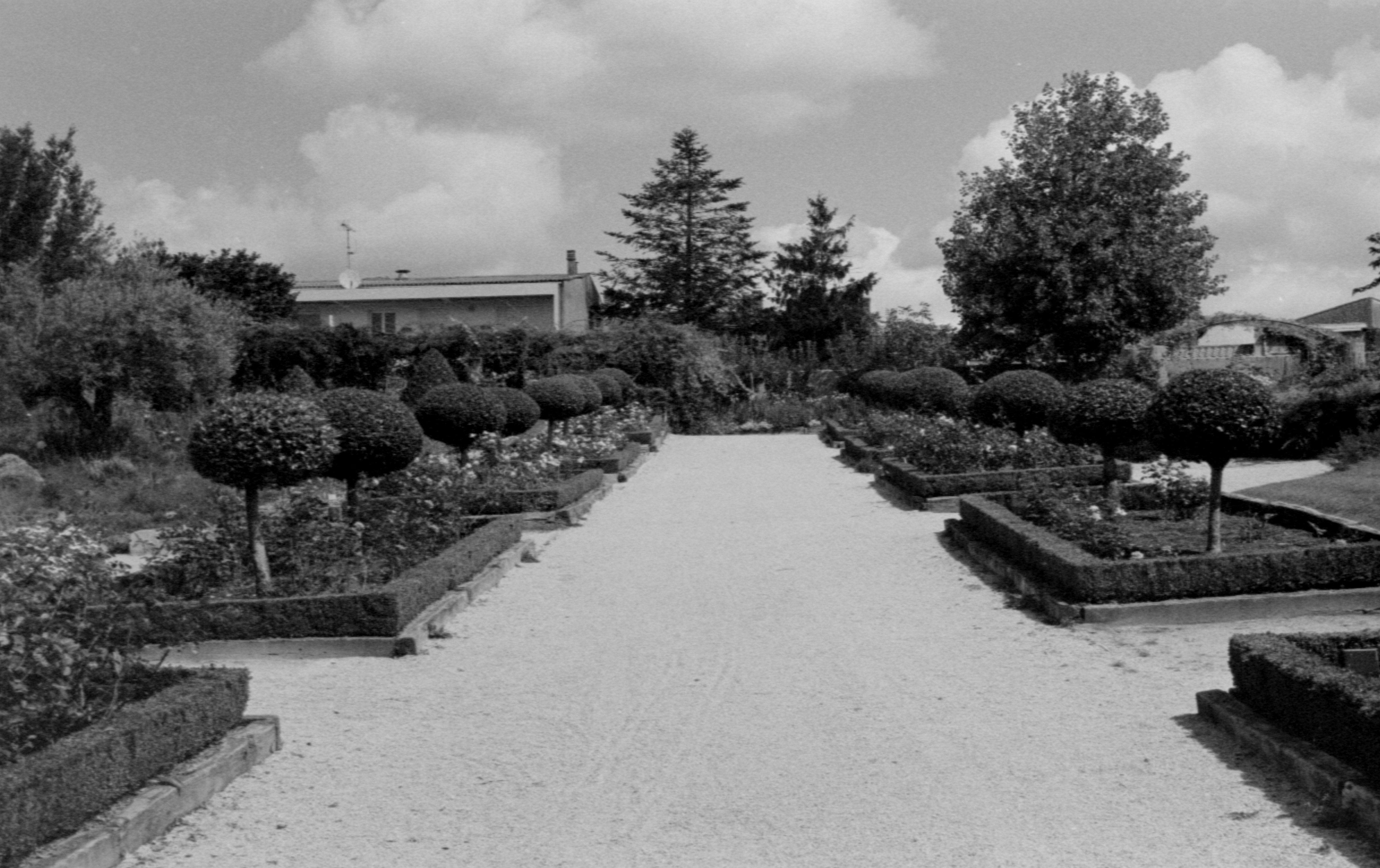 General 4874x3066 monochrome garden old vintage photography outdoors plants