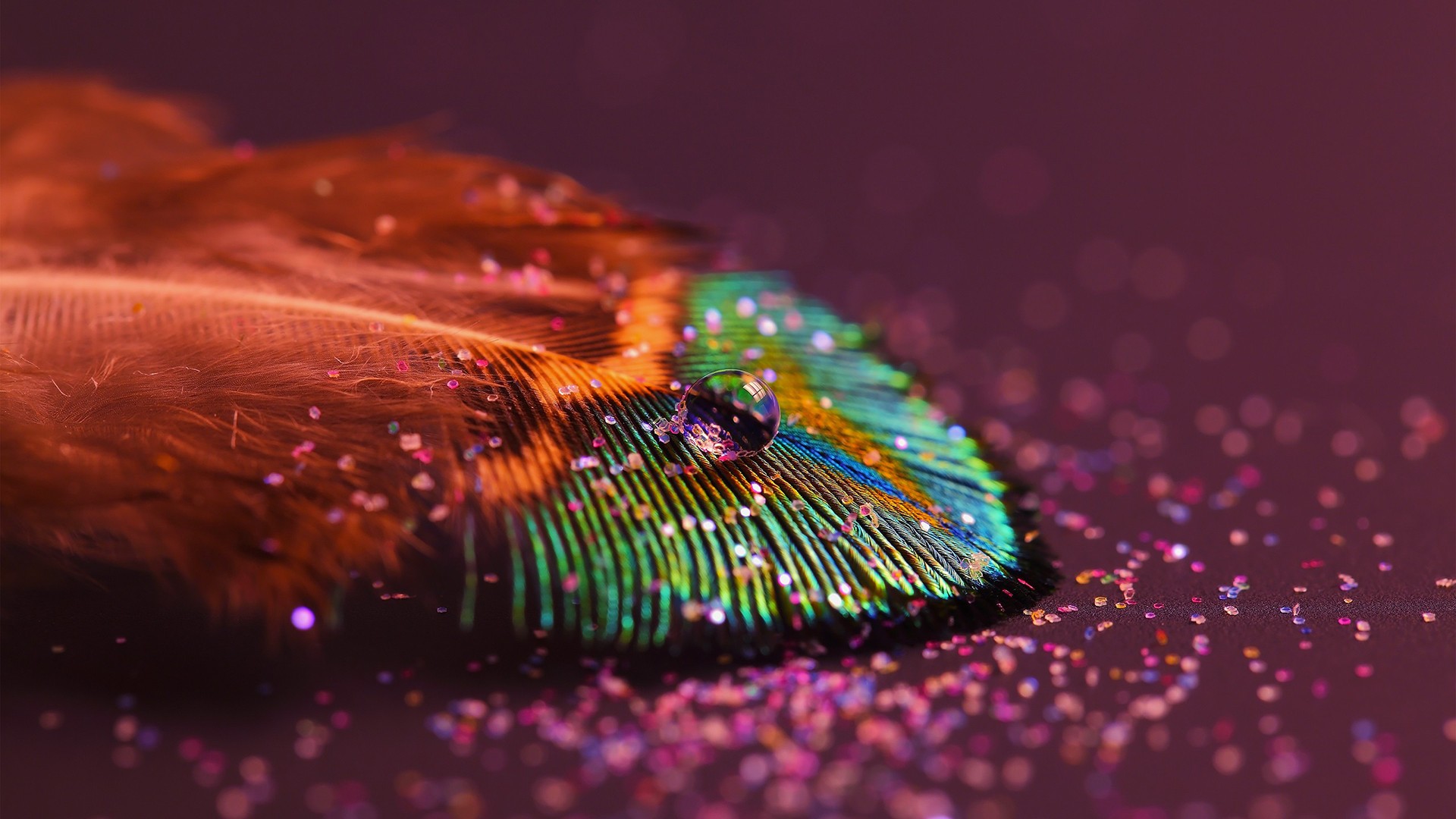 General 1920x1080 colorful photography macro glitter feathers water drops peacocks depth of field Richard Mohler