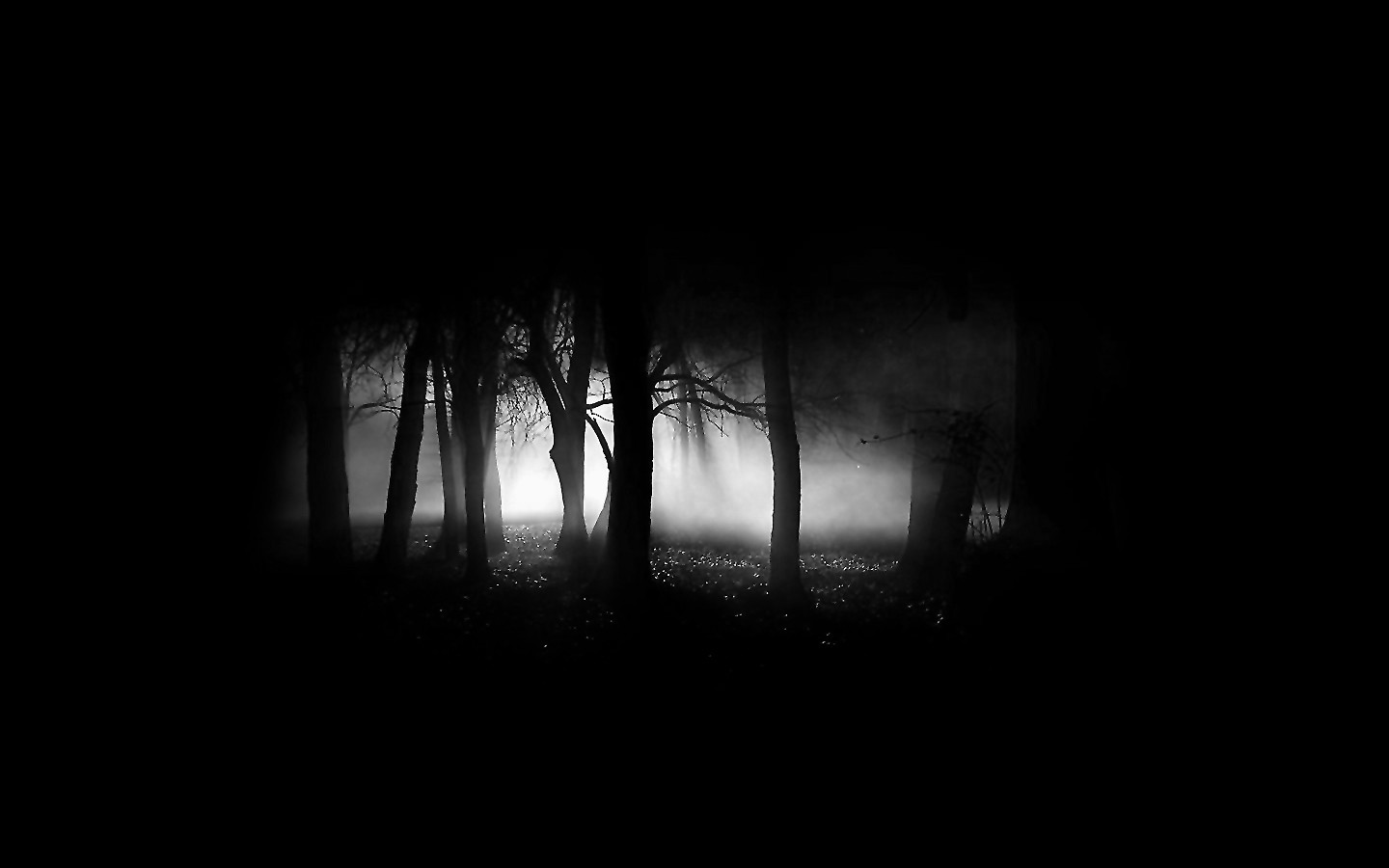 General 1440x900 black dark mist trees minimalism black background