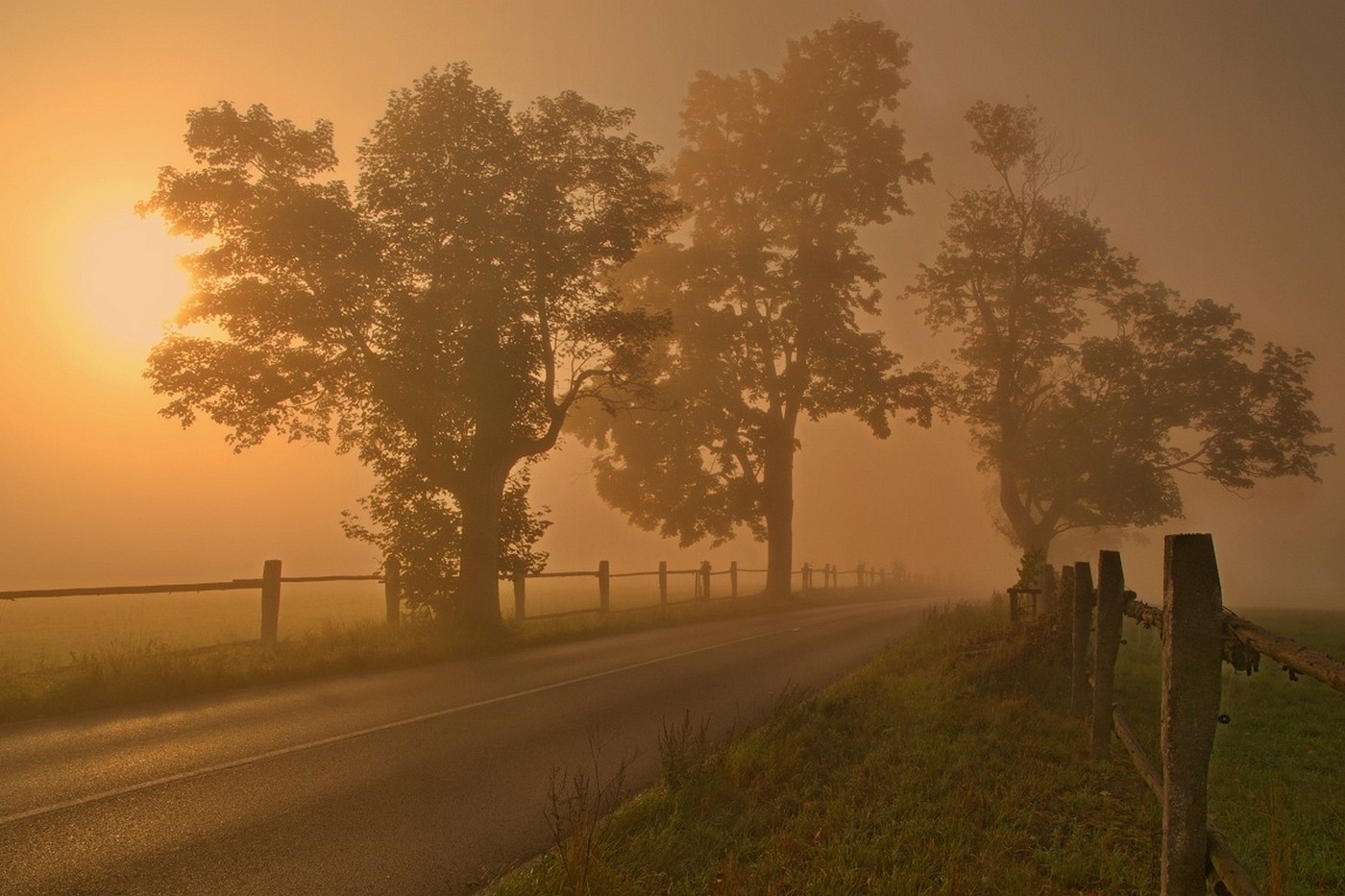 General 1400x933 fence morning road trees mist grass outdoors sunlight