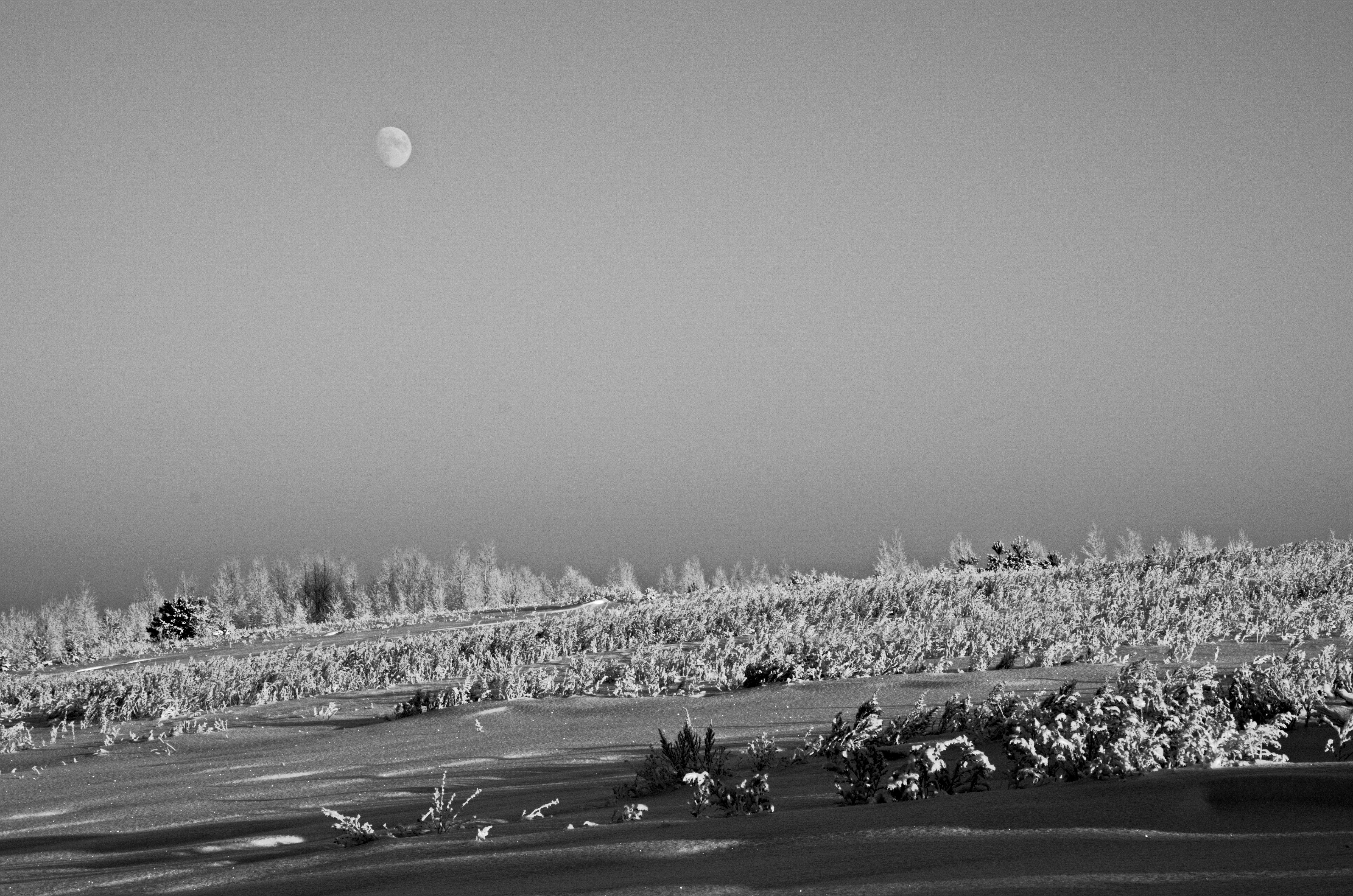 General 4928x3264 nature winter monochrome Moon landscape cold ice snow