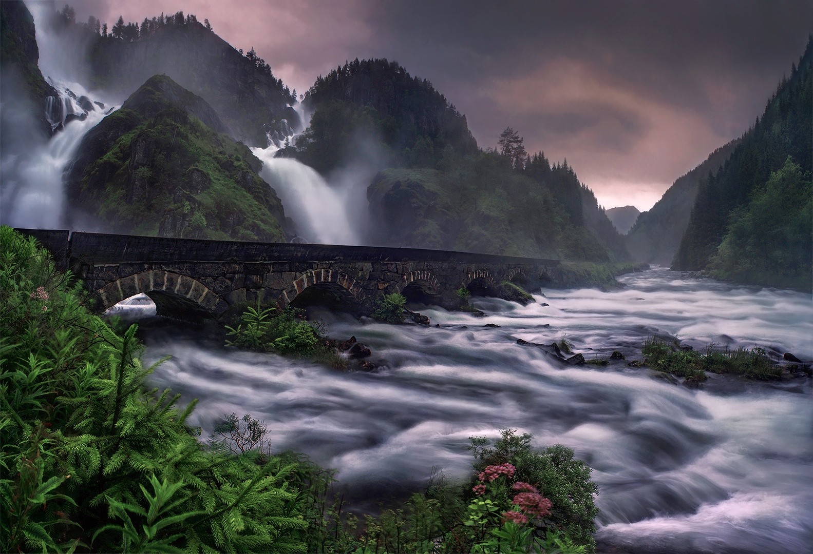 General 1583x1080 nature landscape bridge Norway nordic landscapes water plants waterfall ferns