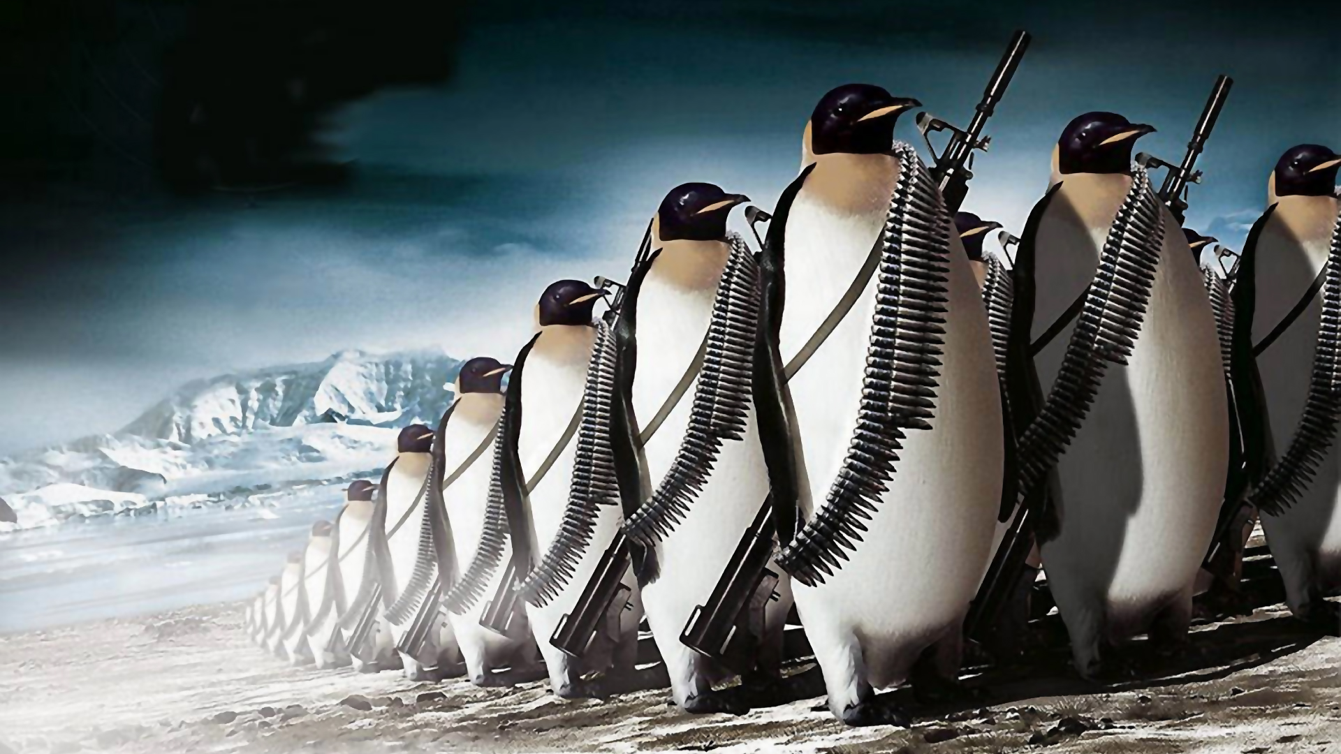 General 1920x1080 penguins humor army digital art animals weapon