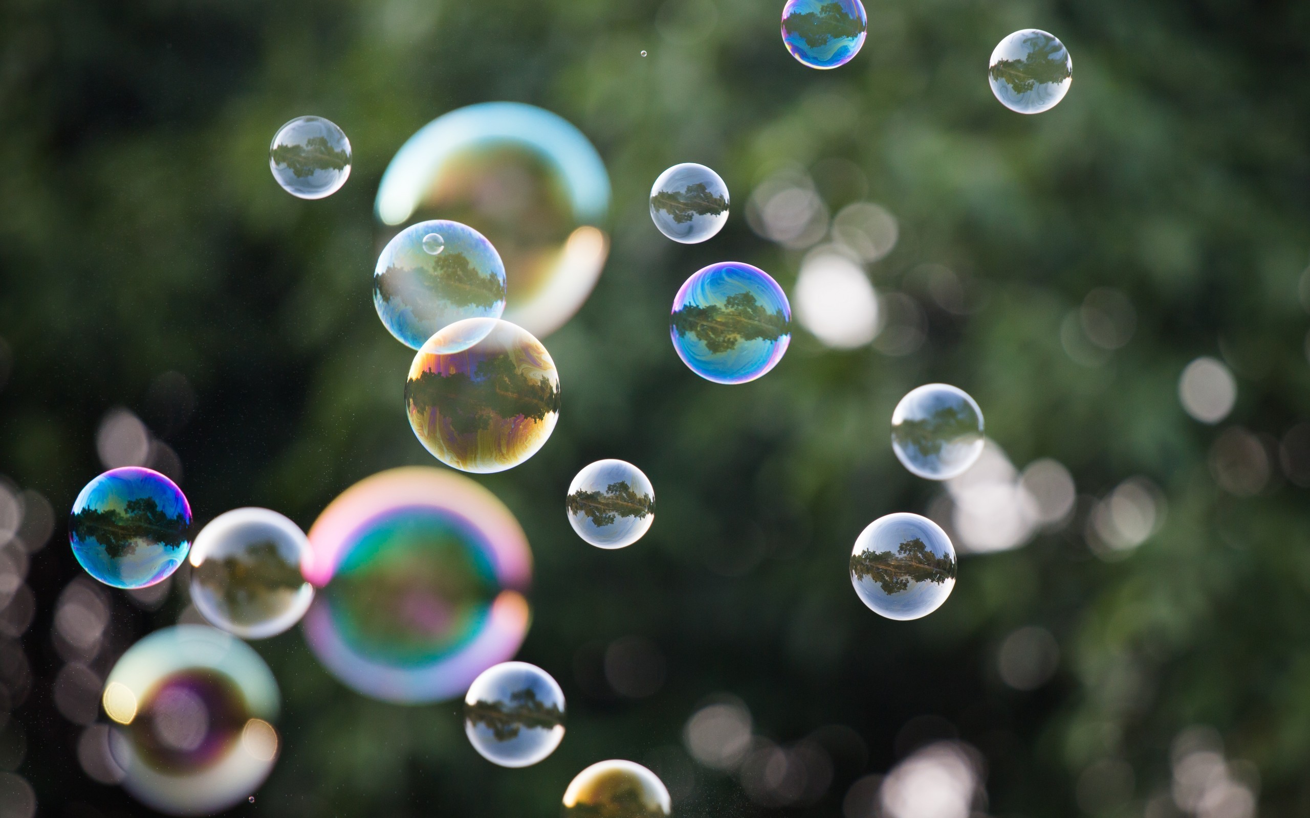 General 2560x1600 bubbles outdoors reflection