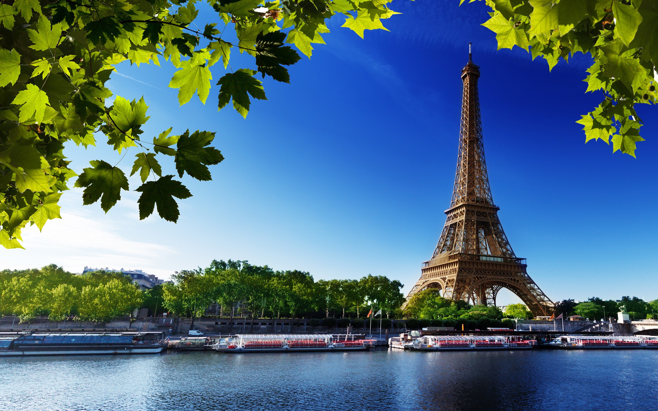 General 2560x1600 cityscape France Paris river leaves Eiffel Tower Seine  landmark Europe