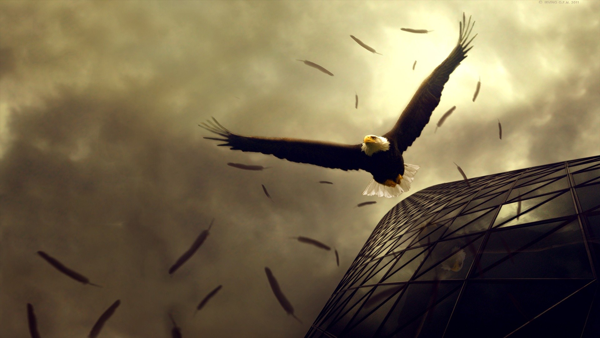 General 1920x1080 eagle building birds feathers photo manipulation animals worm's eye view wings