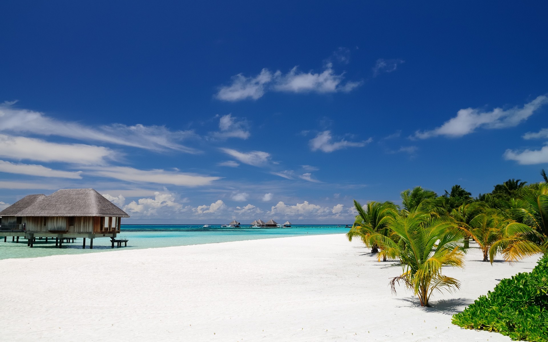 General 1920x1200 nature beach Maldives palm trees sand tropical resort sea summer bungalow architecture island