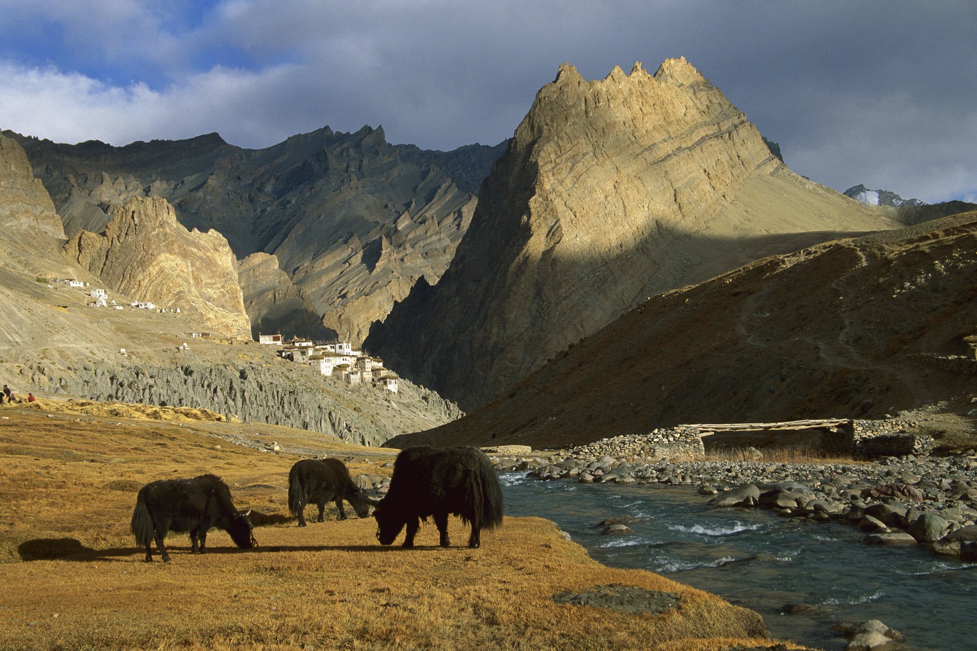 General 2000x1333 mountains wildlife animals mammals rocks nature landscape
