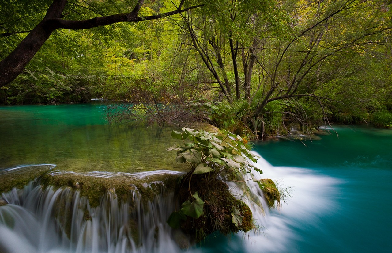 General 1280x825 river waterfall forest shrubs Plitvice Lakes National Park Croatia turquoise green trees nature landscape