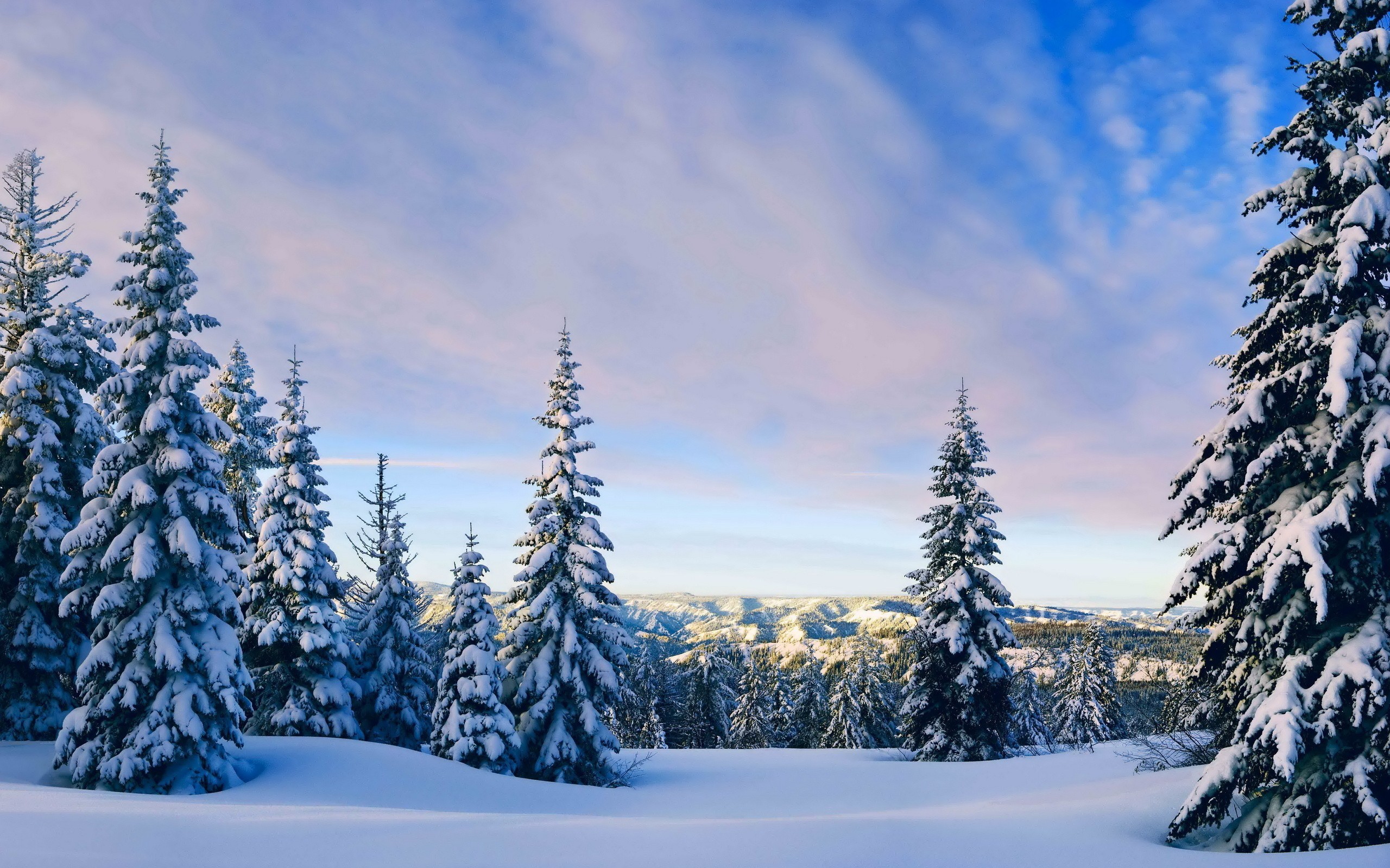 General 2560x1600 nature landscape snow trees forest winter