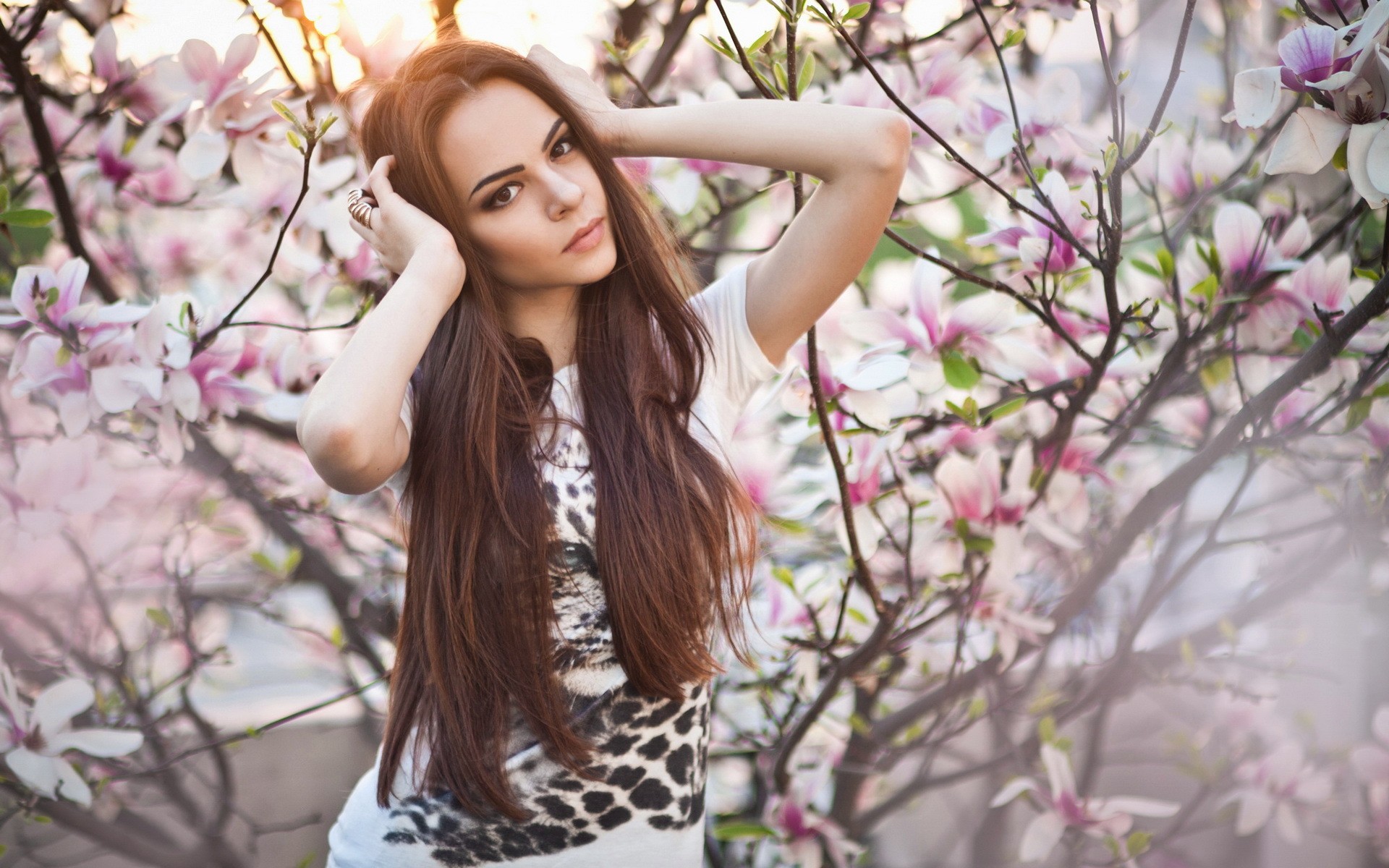 People 1920x1200 cherry blossom brunette brown eyes looking at viewer women outdoors trees sunlight women long hair hands in hair straight hair