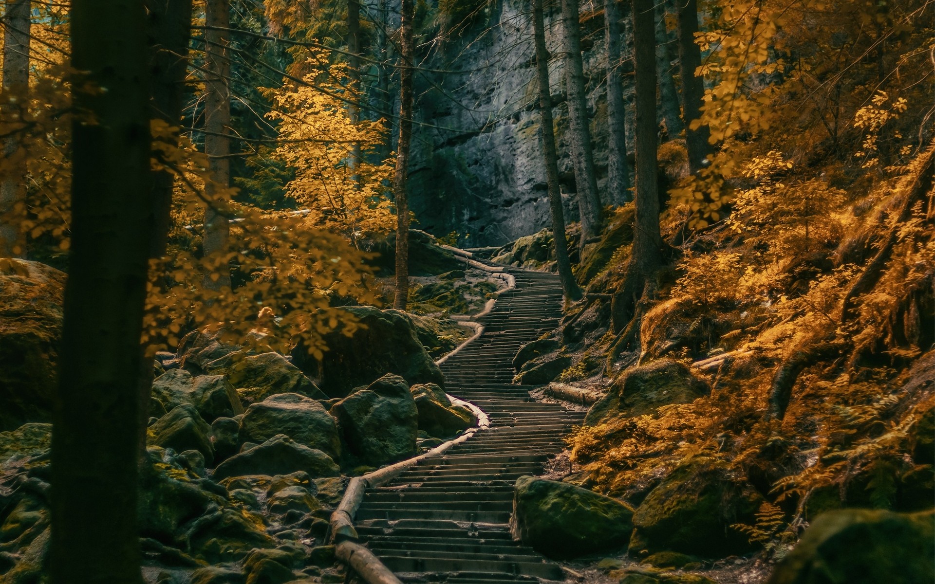 General 1920x1200 path stairs dark forest Germany nature trees fall hills stones