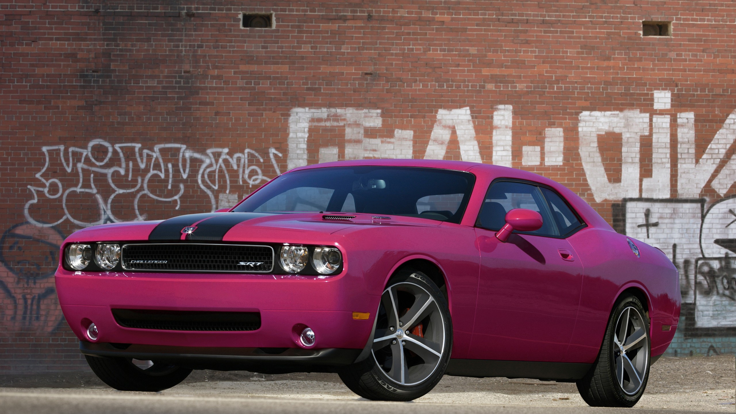 General 2560x1440 car pink Dodge Dodge Challenger muscle cars American cars Stellantis racing stripes