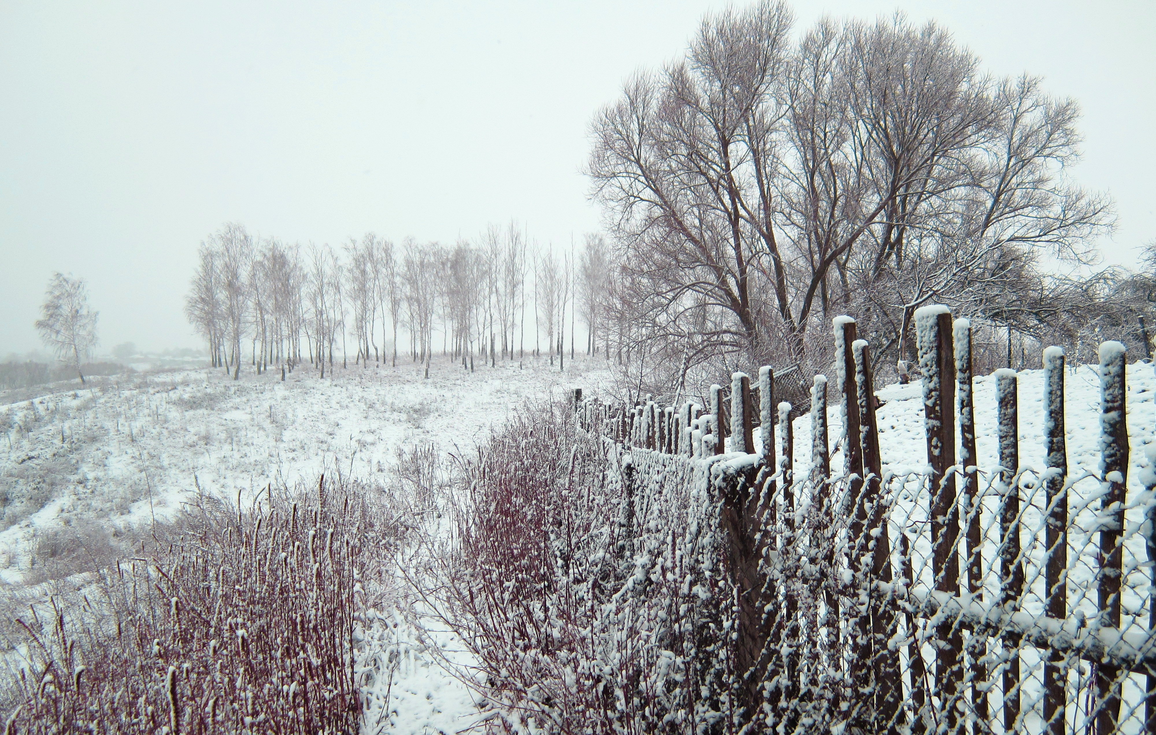 General 4000x2544 Russia winter snow trees fence gloomy overcast