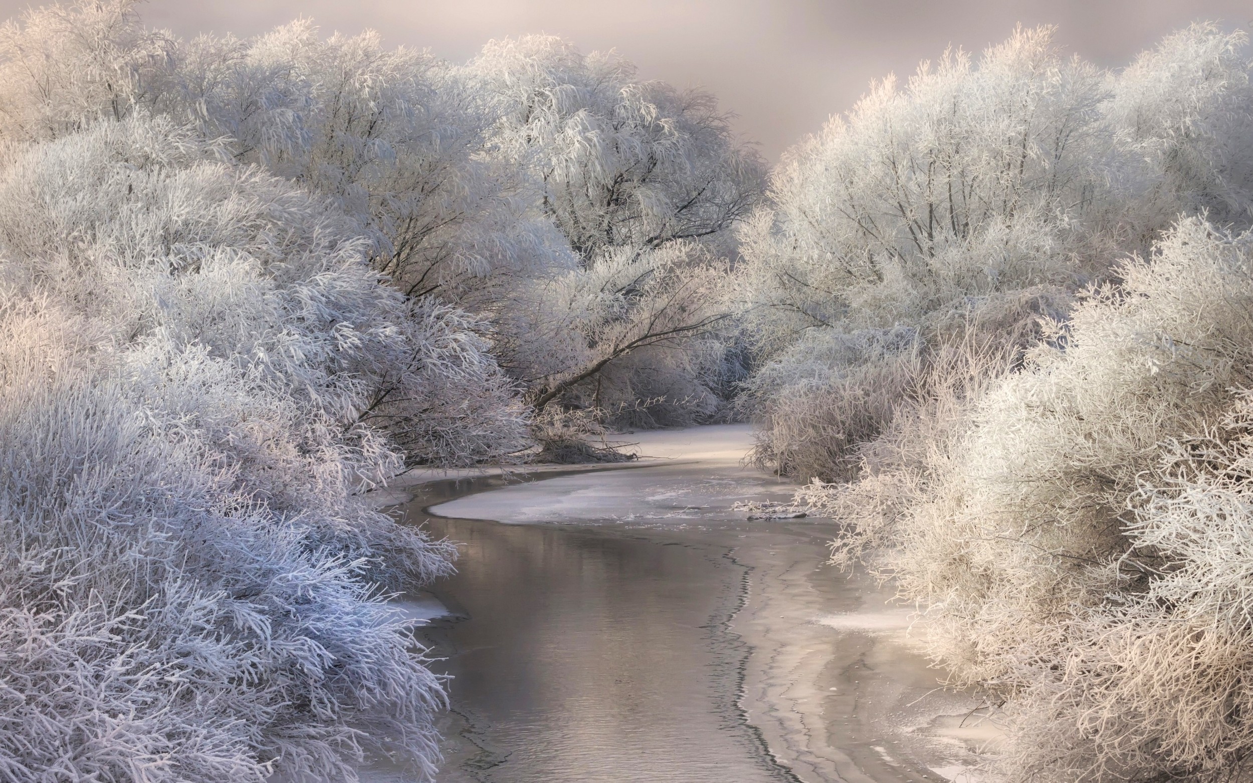 General 2500x1563 nature landscape river forest snow winter frost white daylight cold outdoors