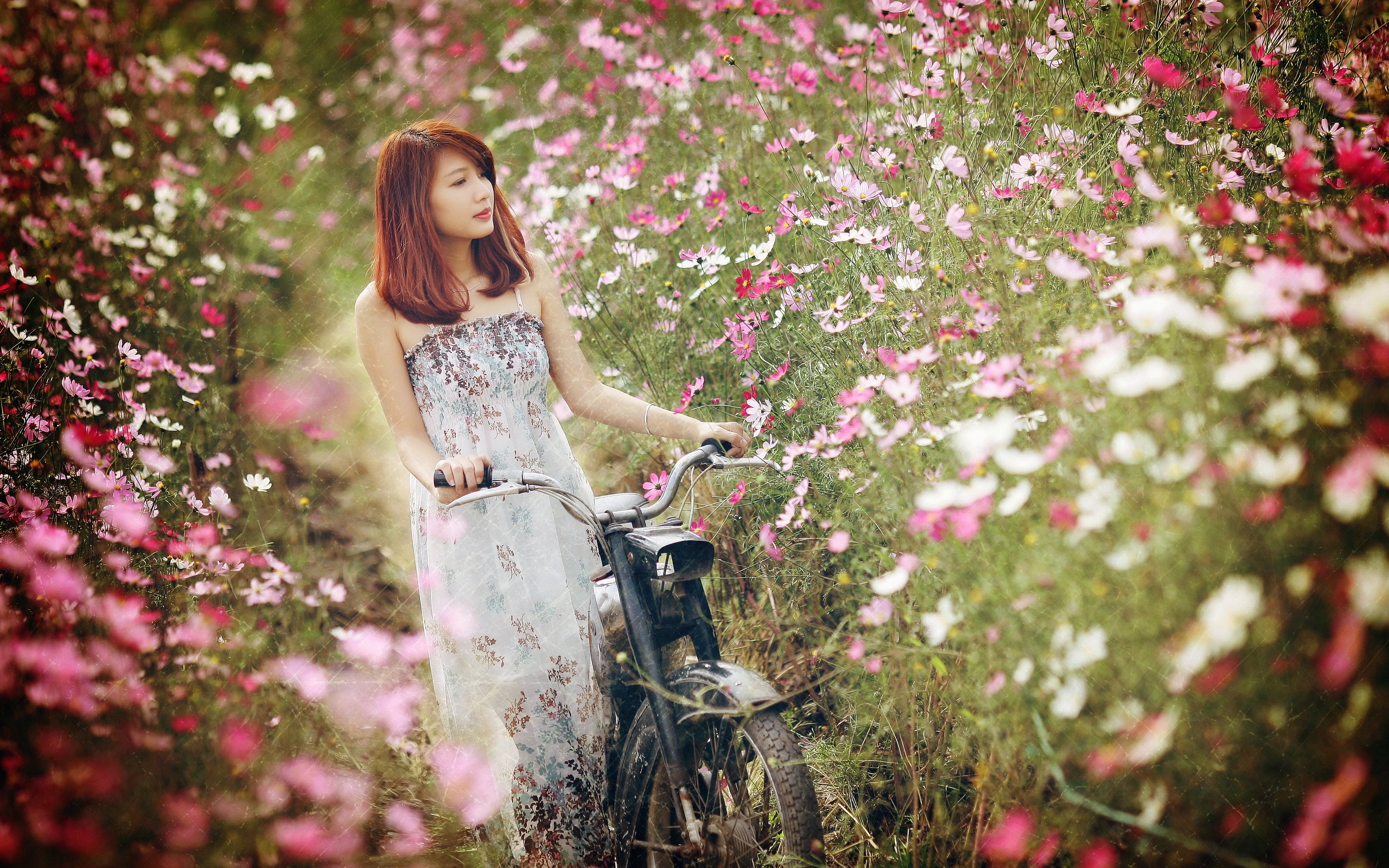 General 2560x1600 Asian flowers nature meinv women model vehicle women outdoors colorful dress summer dress redhead