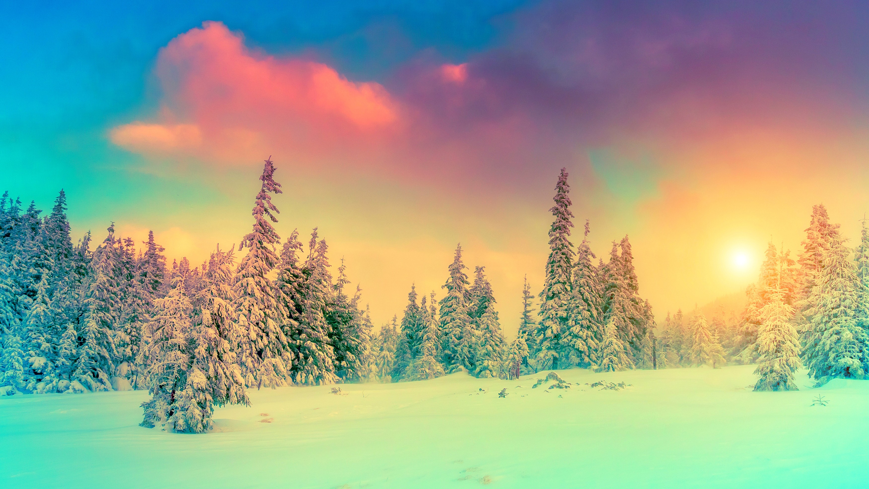 General 3500x1970 snow winter nature landscape cold outdoors trees sky