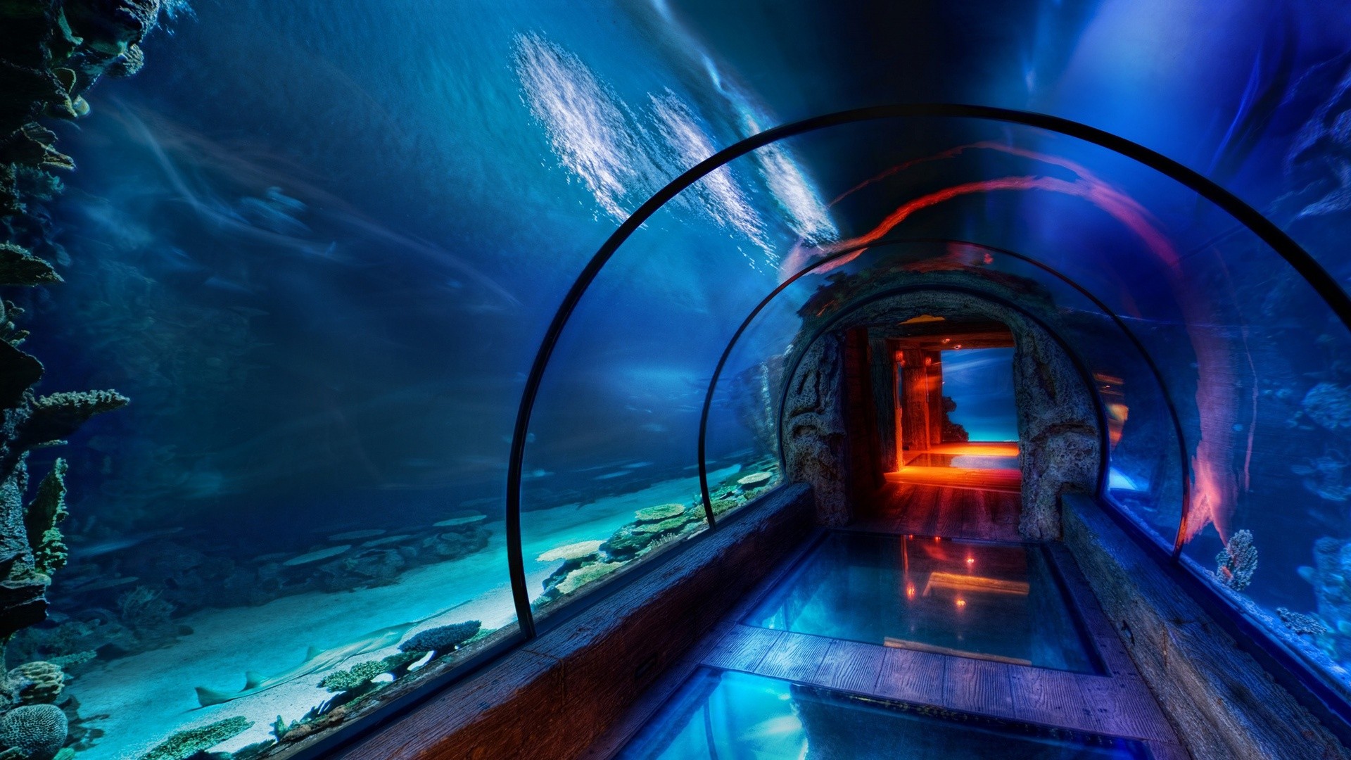 General 1920x1080 tunnel underwater blue aquarium