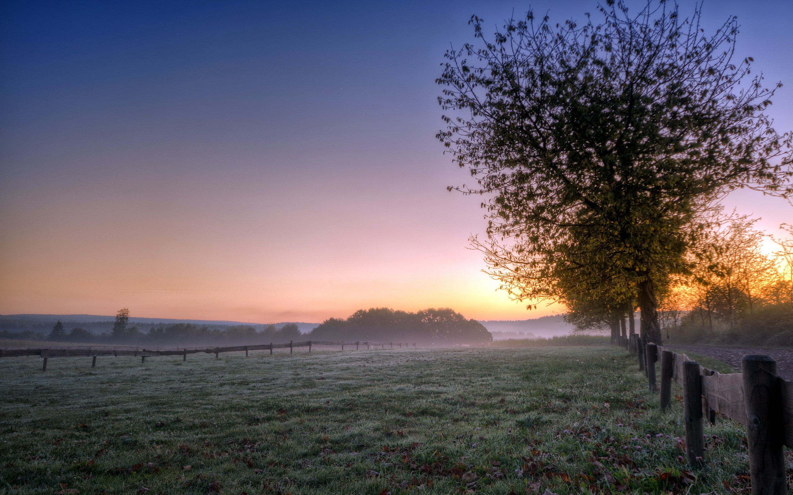 General 2560x1600 nature sunset mist trees landscape field outdoors