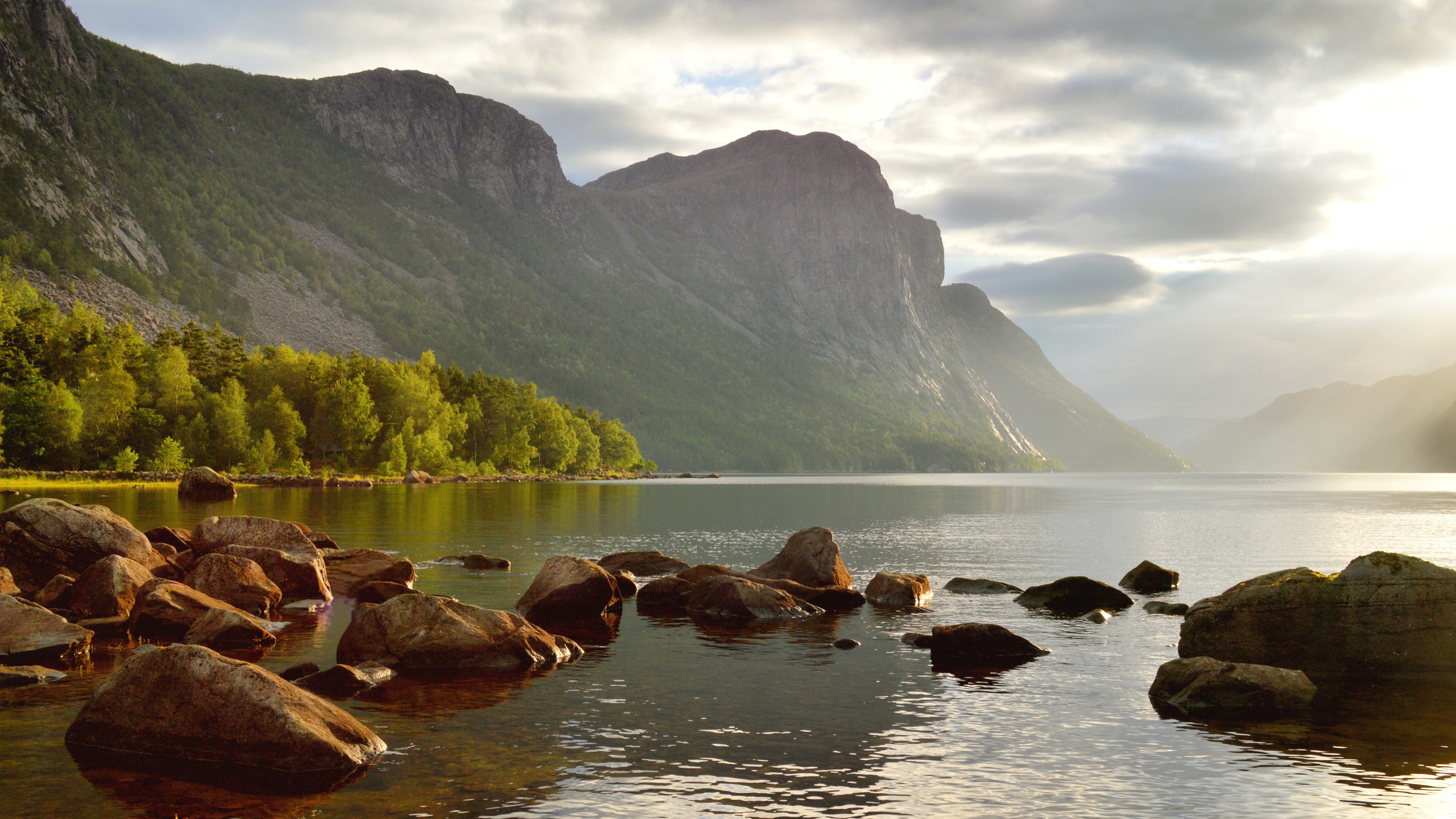 General 2560x1440 Norway morning fjord trees cliff nordic landscapes nature