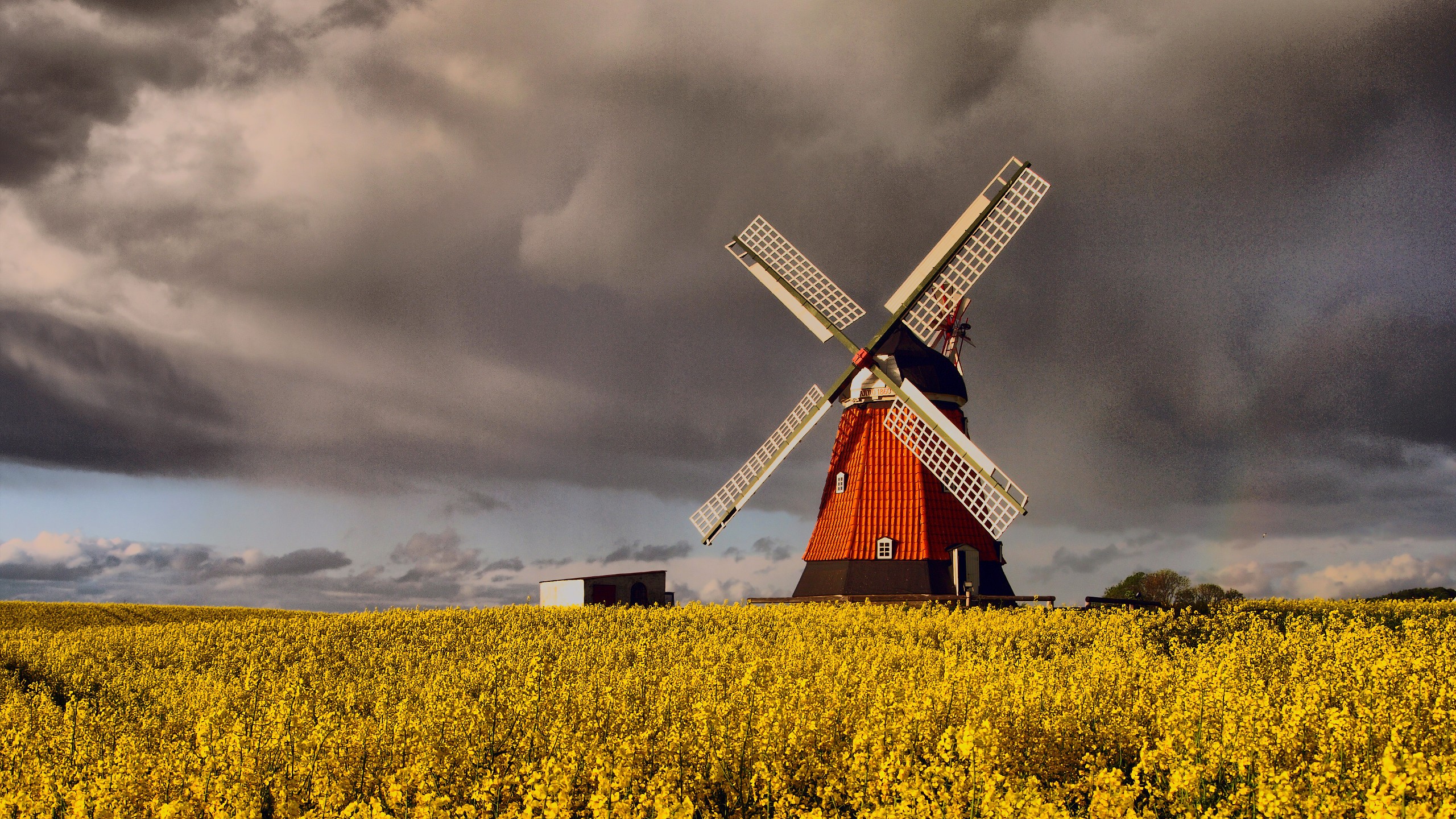 General 2560x1440 Denmark windmill clouds grain field Agro (Plants) sky outdoors
