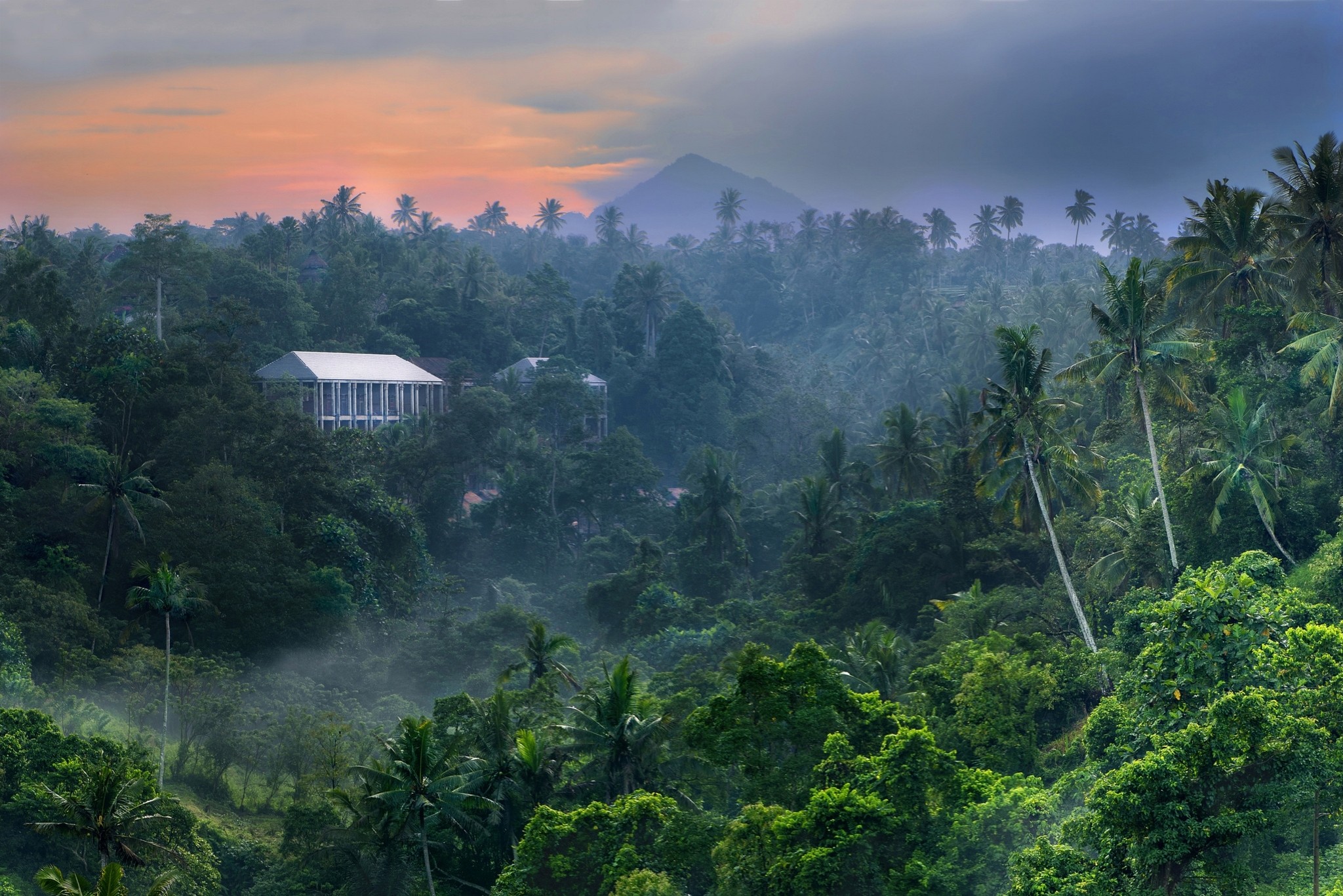 General 2048x1366 nature landscape tropical forest jungle mountains mist palm trees building sky Bali Indonesia Asia