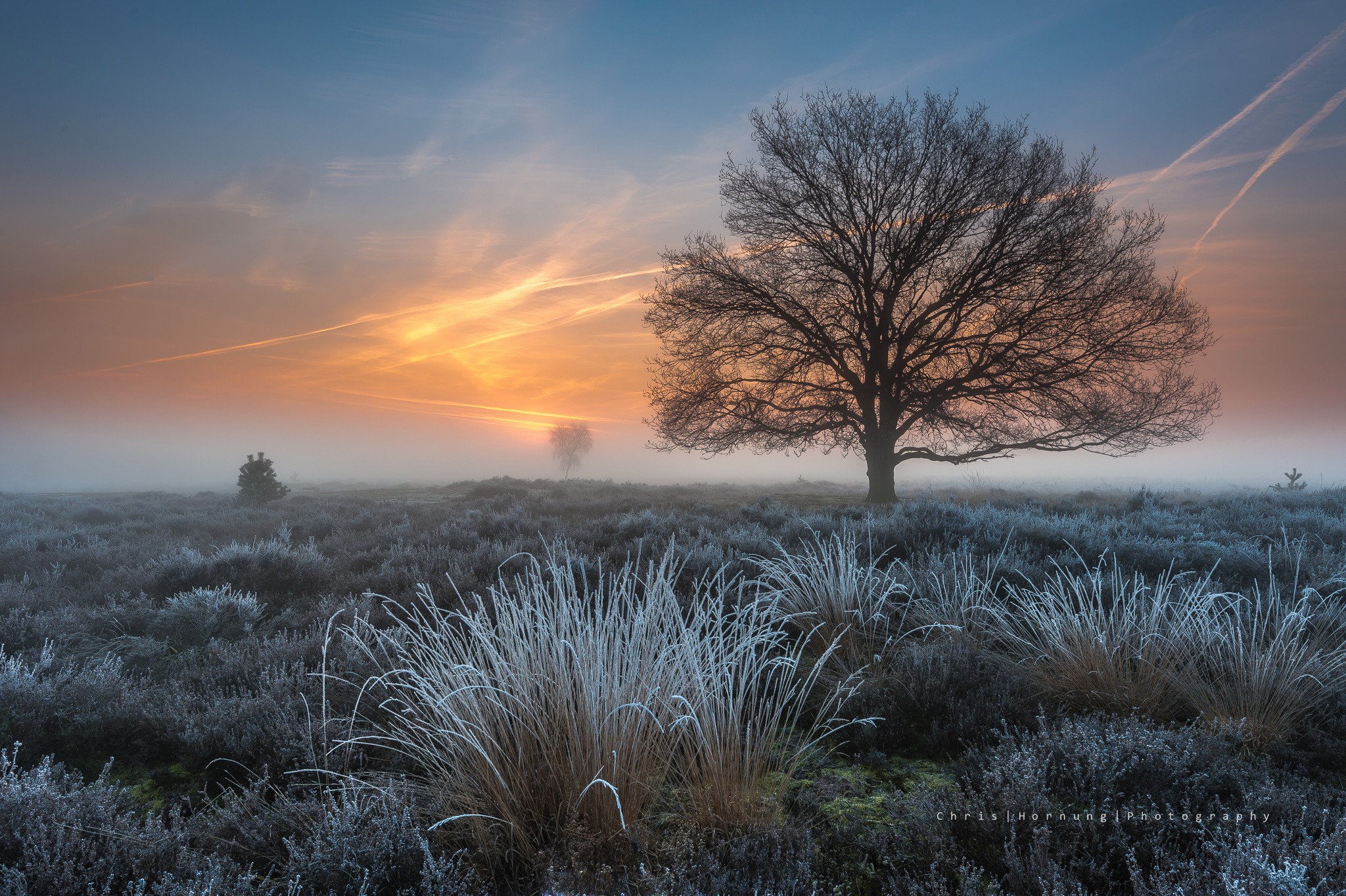 General 2048x1363 landscape trees field frost mist sunrise winter morning nature cold outdoors watermarked
