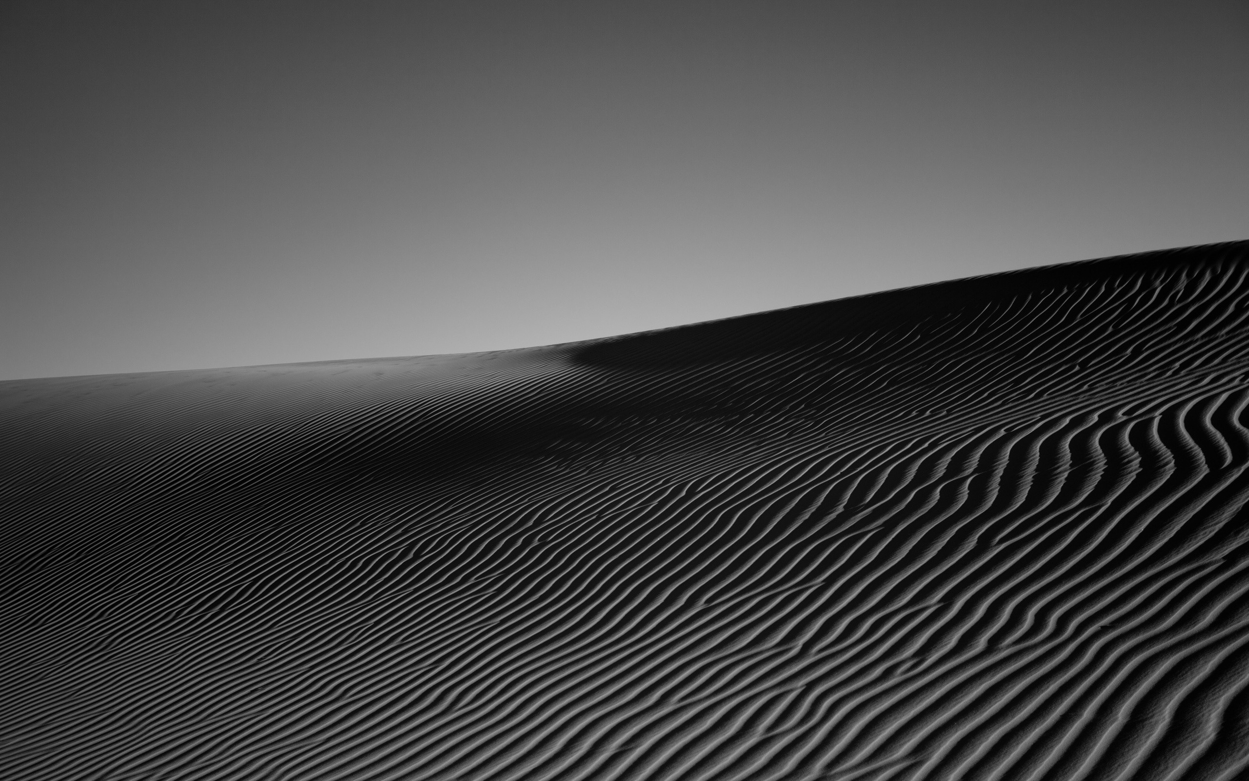 General 2560x1600 desert sand lines nature photography monochrome dunes landscape