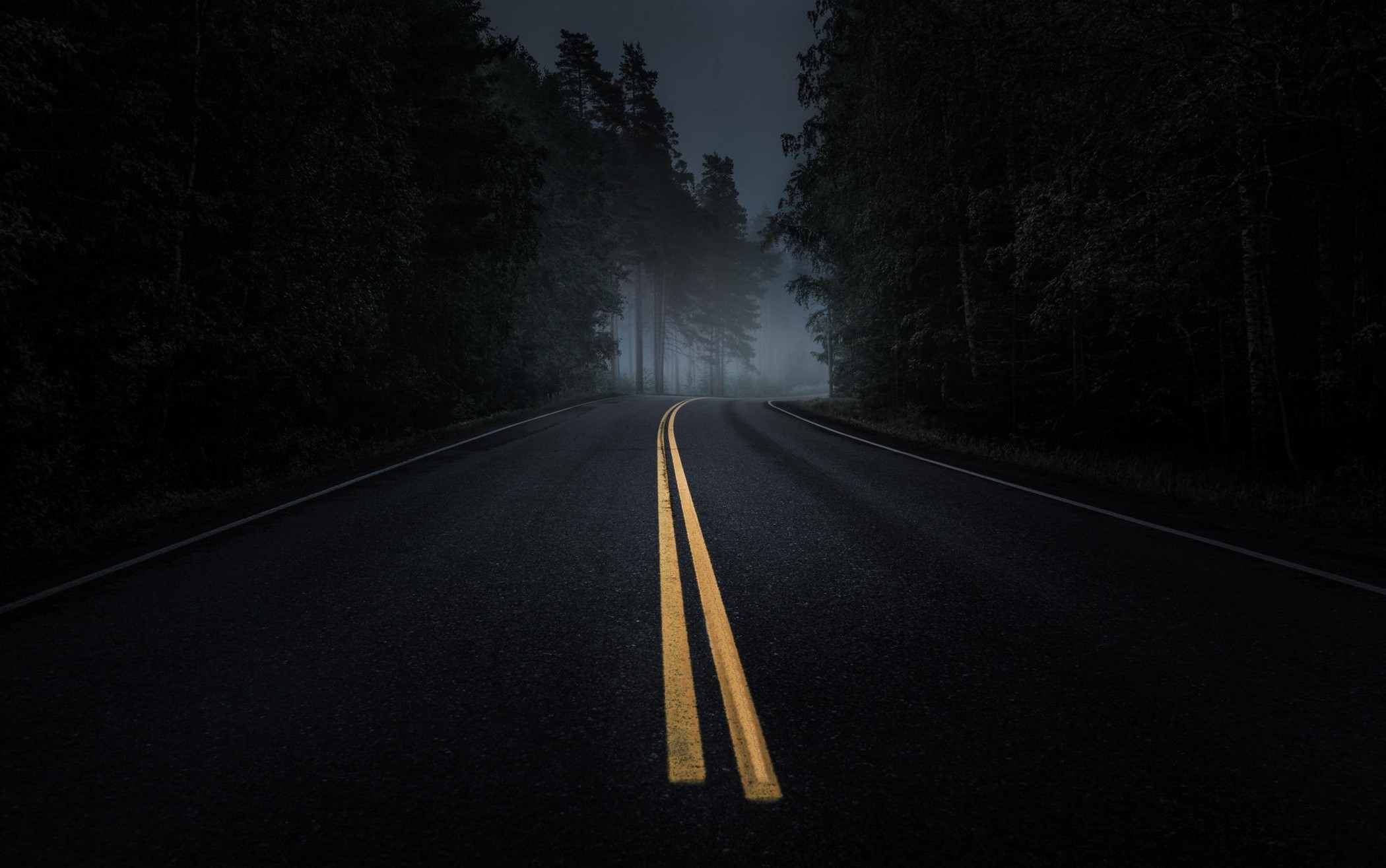 General 2100x1315 road mist dark trees asphalt yellow night pine trees forest low light