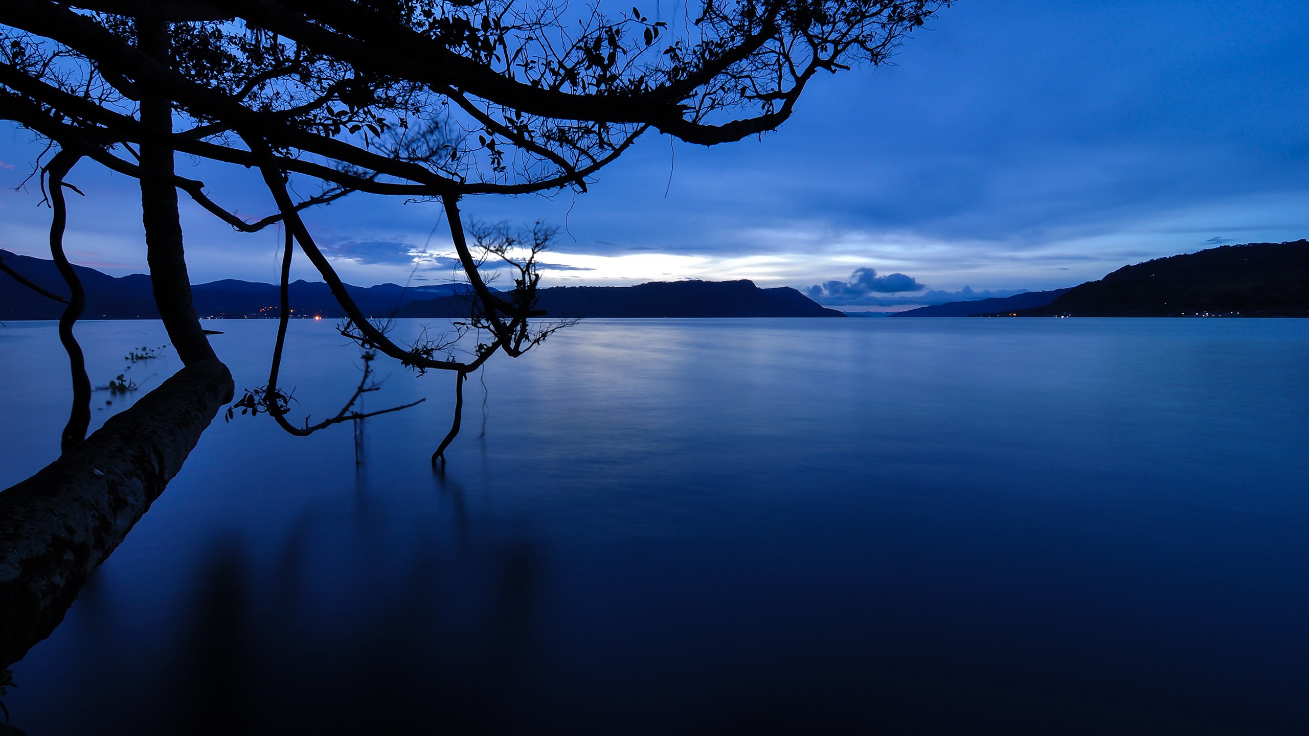 General 2560x1440 lake dark nature blue trees landscape calm waters water outdoors