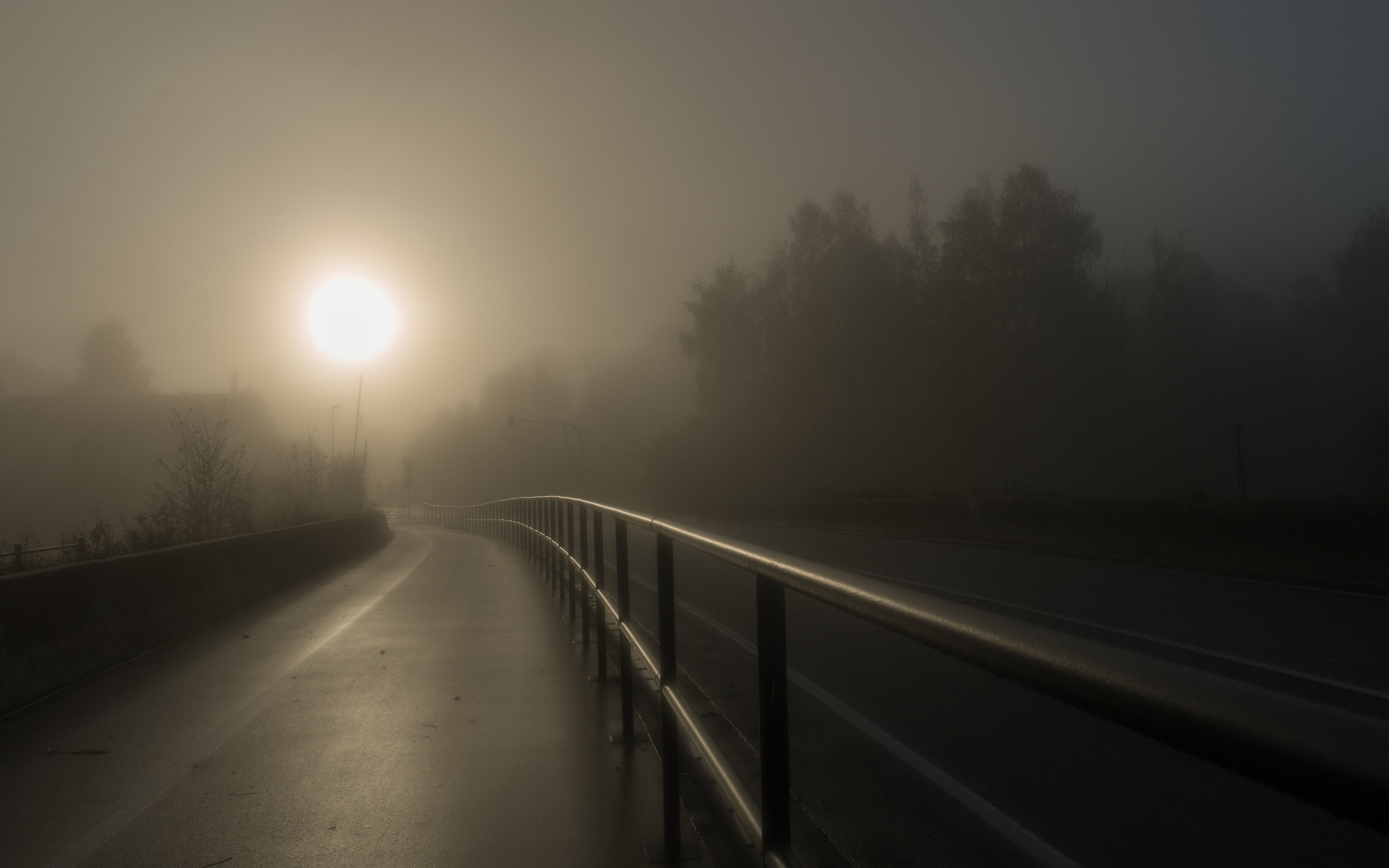 General 2500x1563 mist walkway highway trees fence road outdoors sunlight low light
