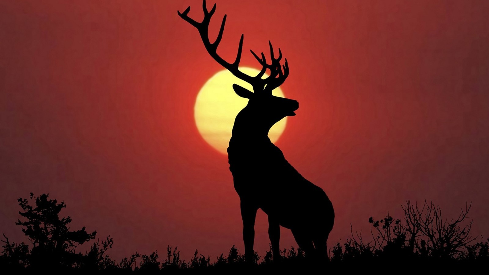 General 1600x900 animals nature deer Sun red silhouette wildlife stags antlers mammals elk red sky