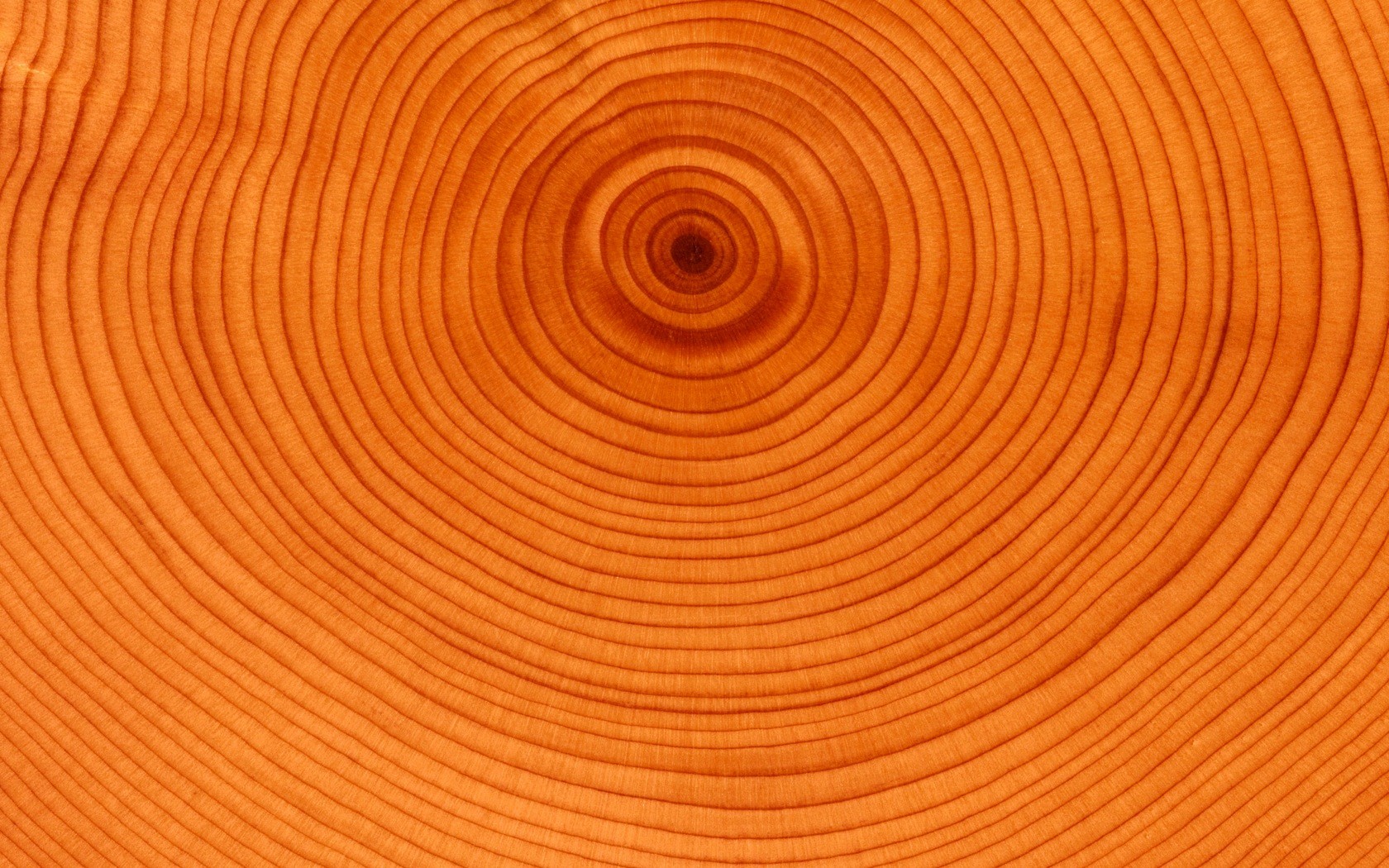General 1680x1050 nature wood texture orange circle minimalism