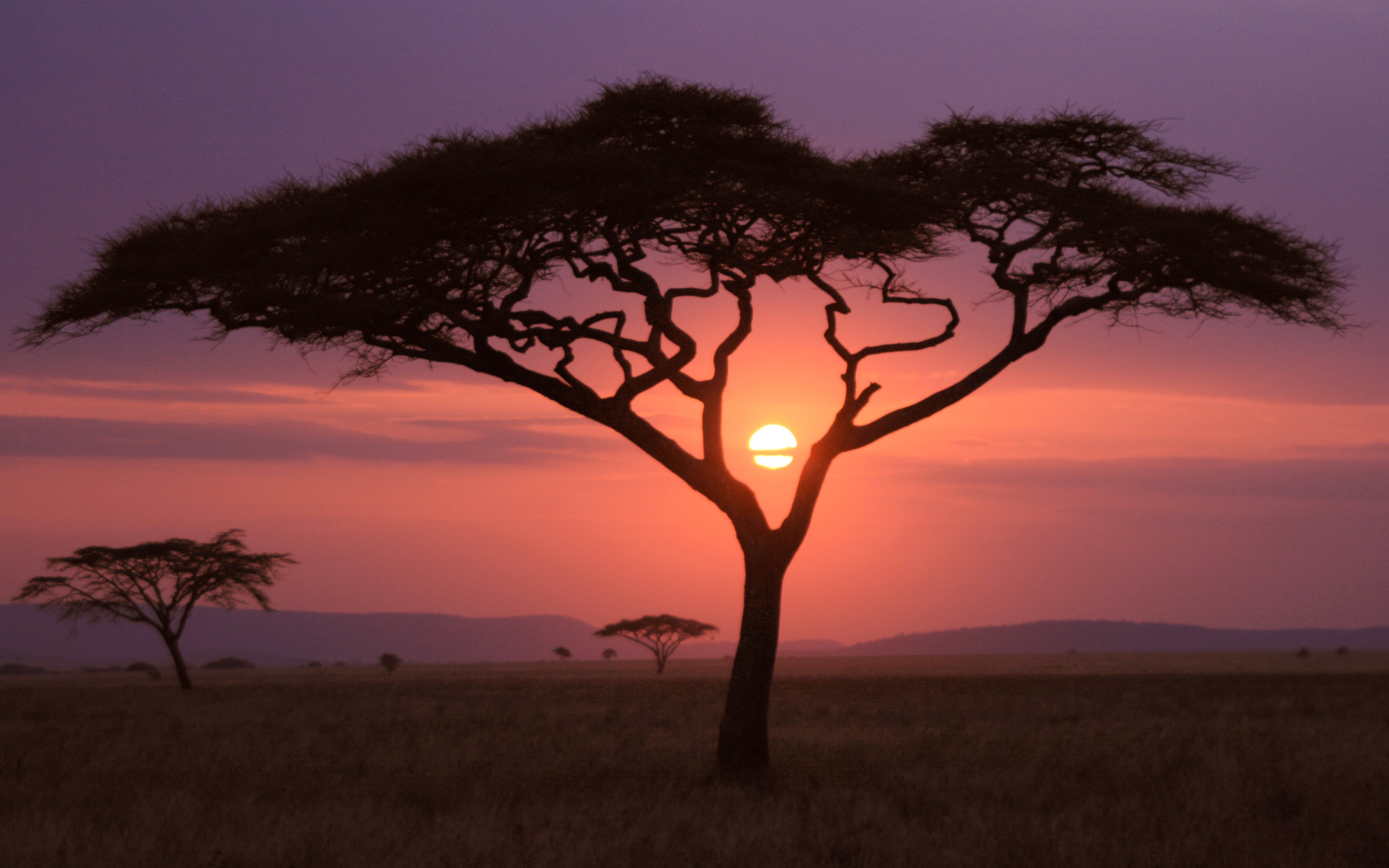 General 3200x2000 sunset Africa nature landscape savannah low light
