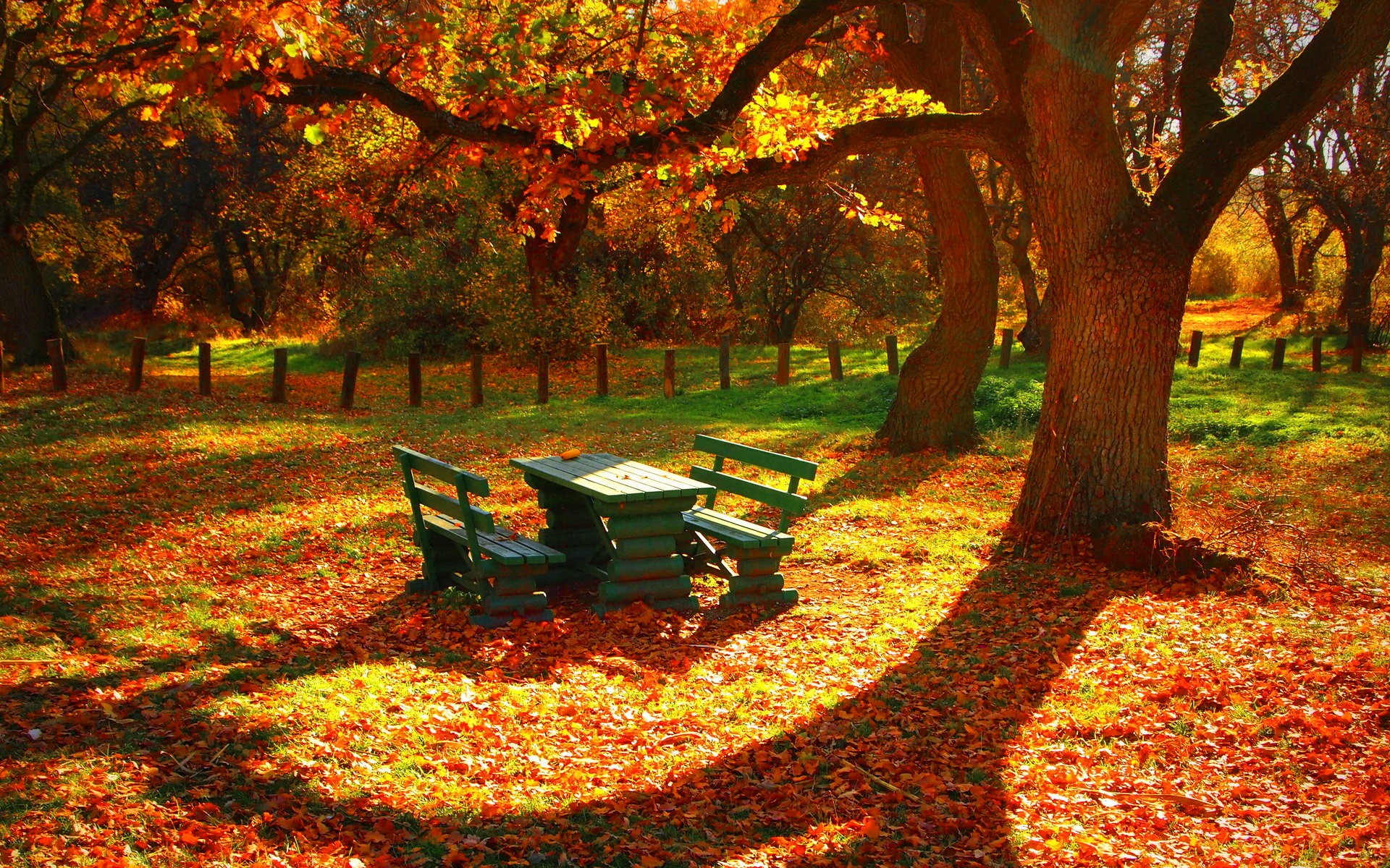General 1920x1200 nature fall forest bench trees