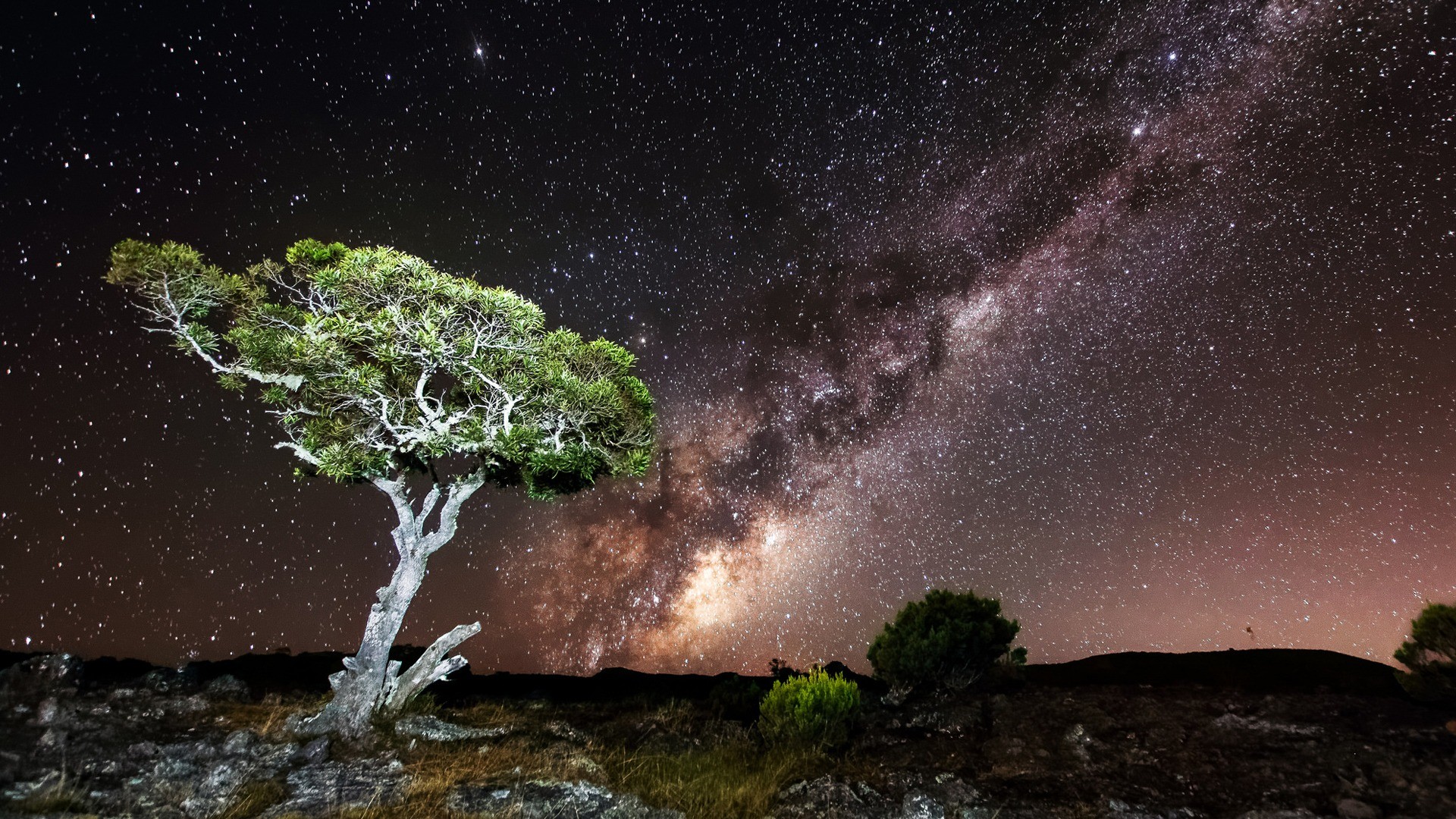 General 1920x1080 nature sky night Milky Way stars landscape trees rocks hills long exposure Africa