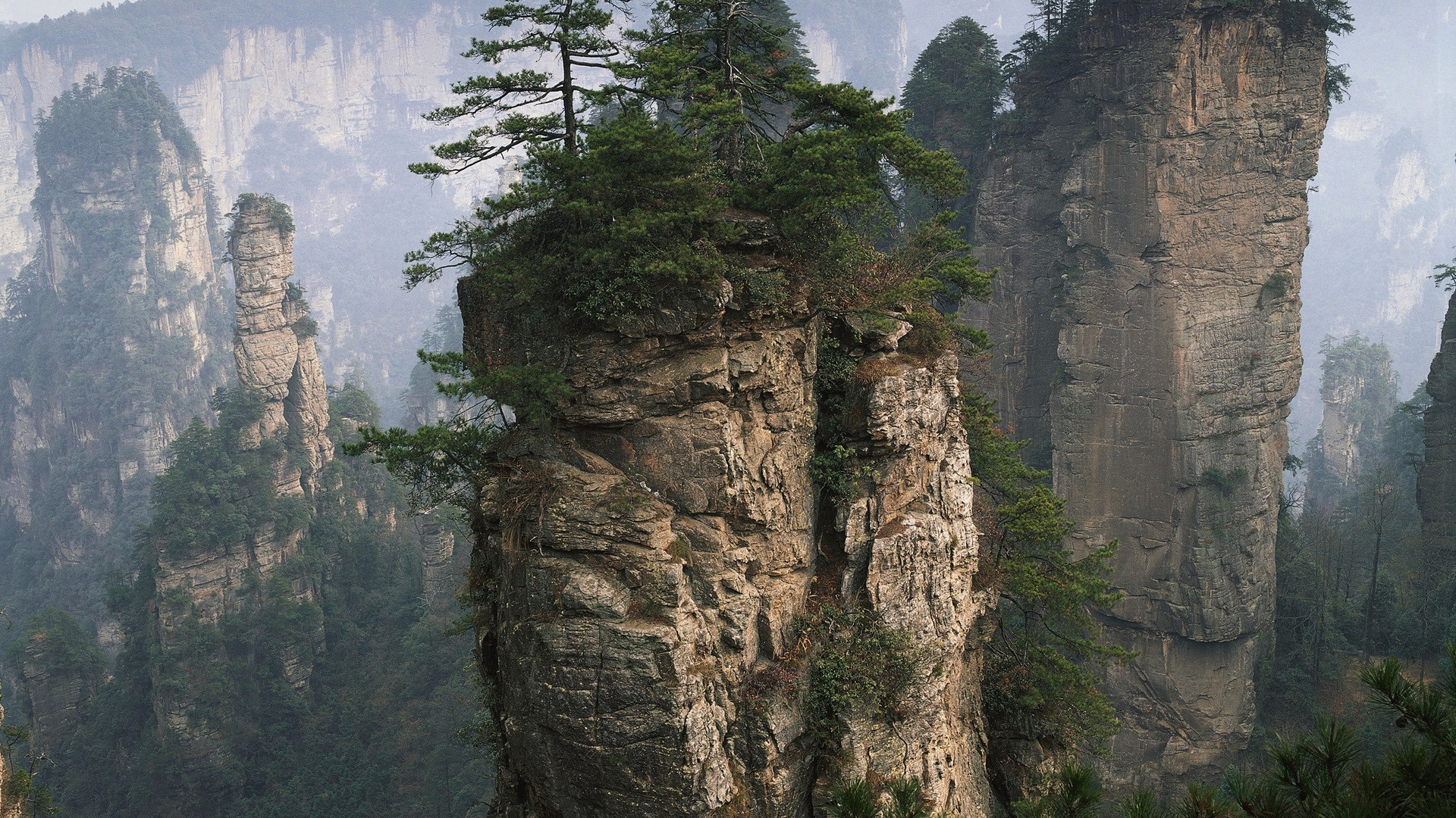 General 1920x1080 landscape nature rocks trees China Huanglong National Park rock formation plants